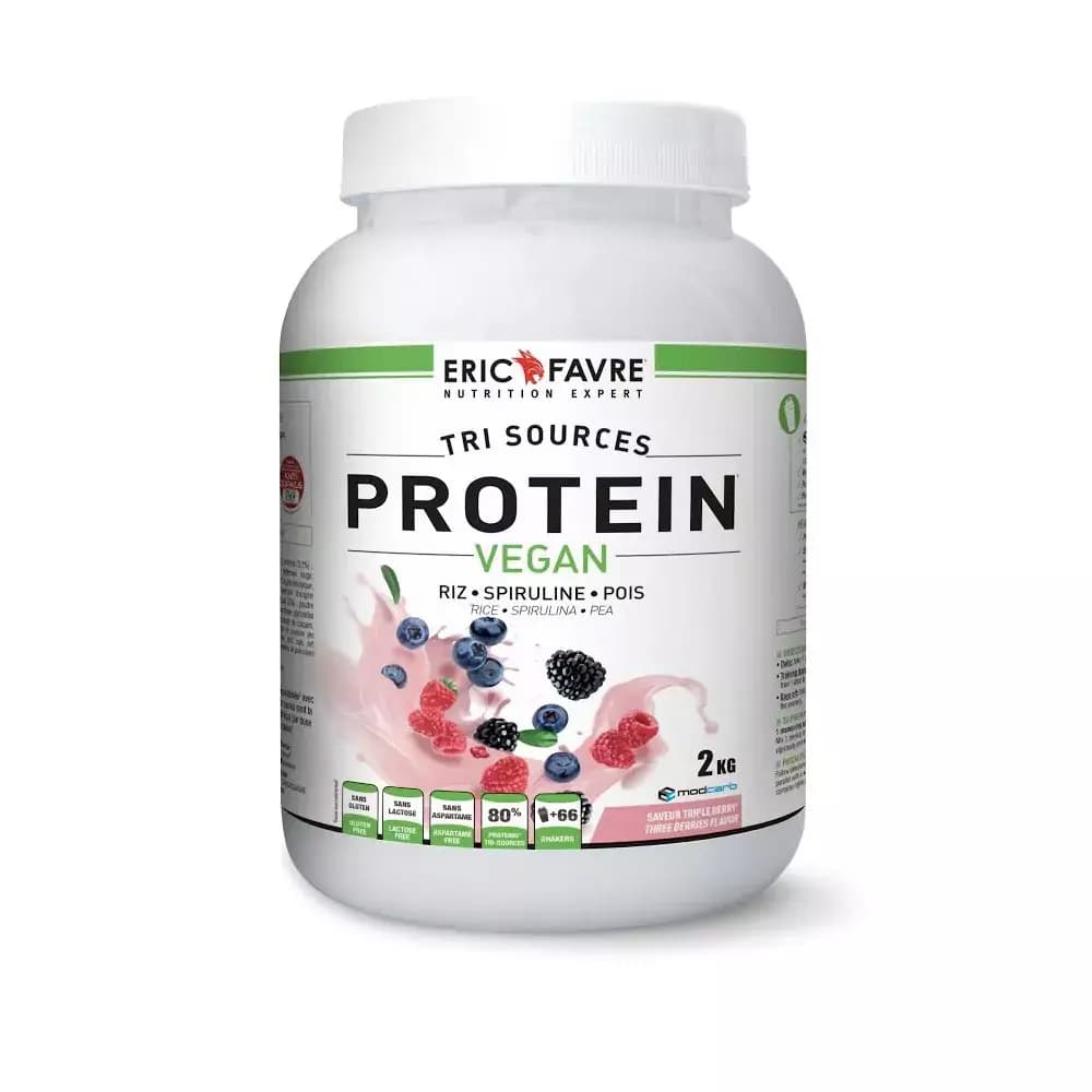 PROTEIN VEGAN 1.5KG - ERIC FAVRE