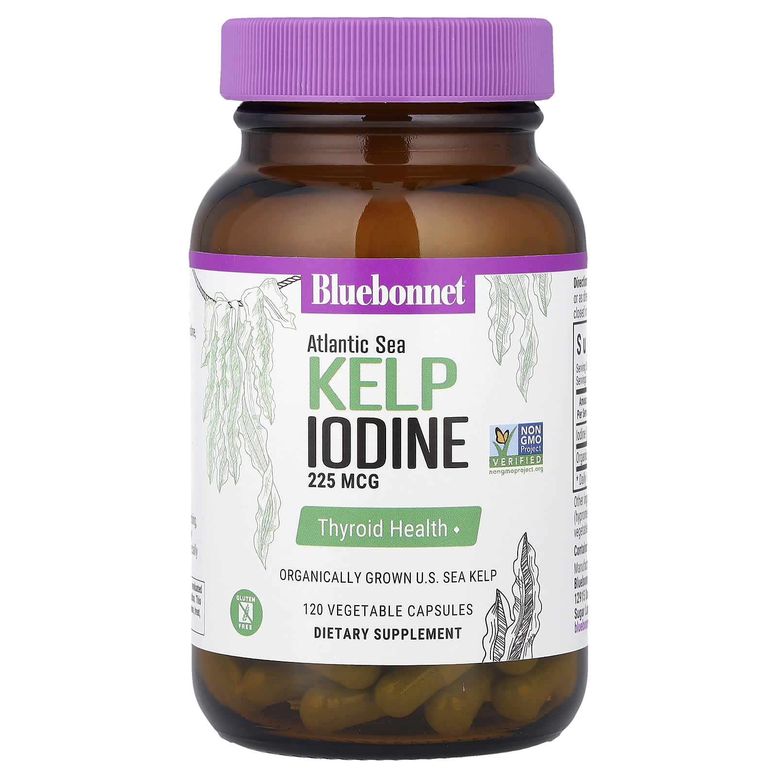 Bluebonnet Nutrition Atlantic Sea Kelp Iodine – 225 µg — étiquette 1