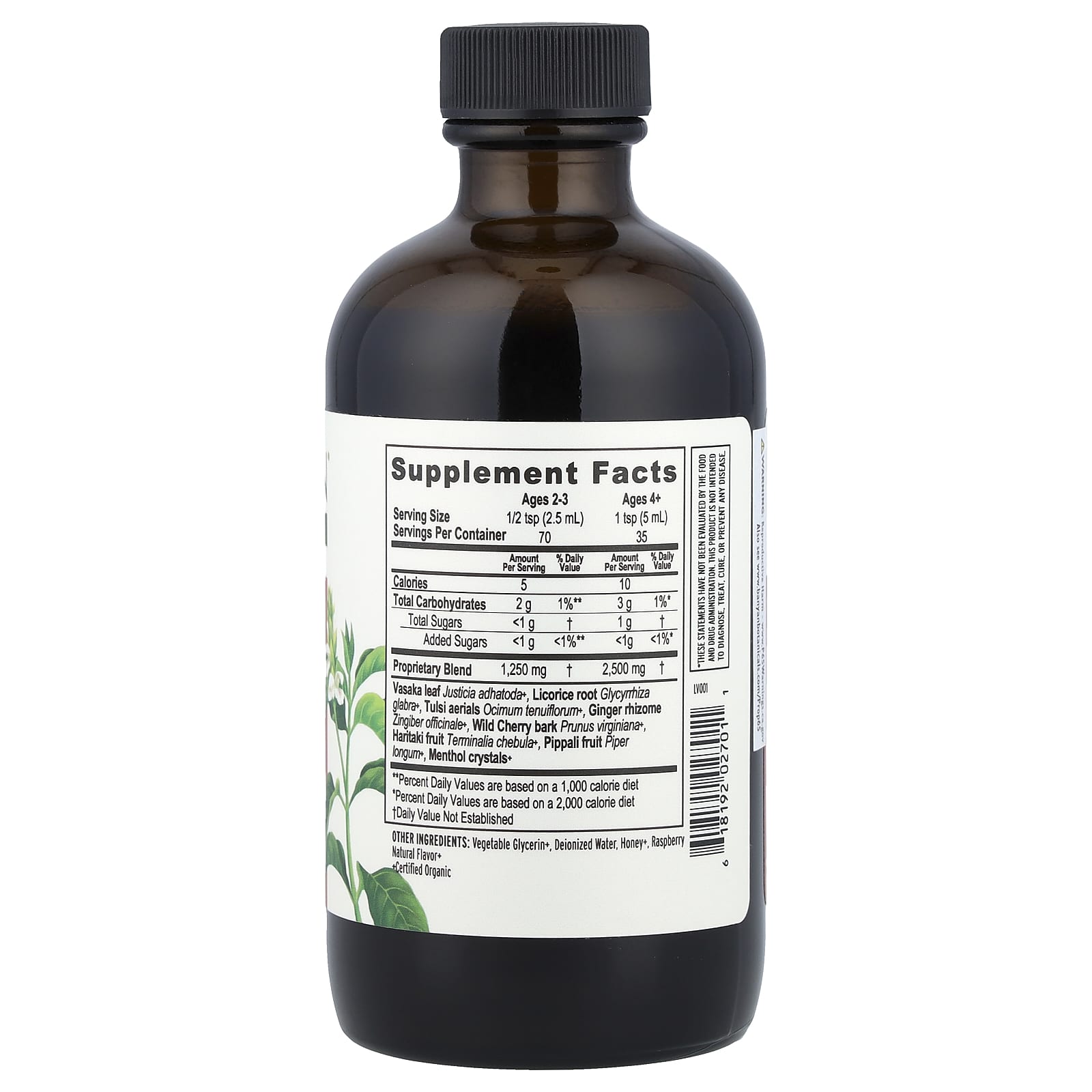 Banyan Botanicals Bronchial Support Herbal Syrup – 177 ml — photo 2 sur 2