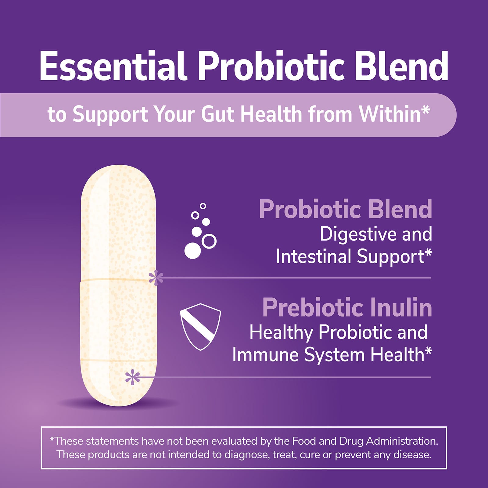 21st Century Acidophilus Probiotic Blend – 100 gélules — étiquette 4