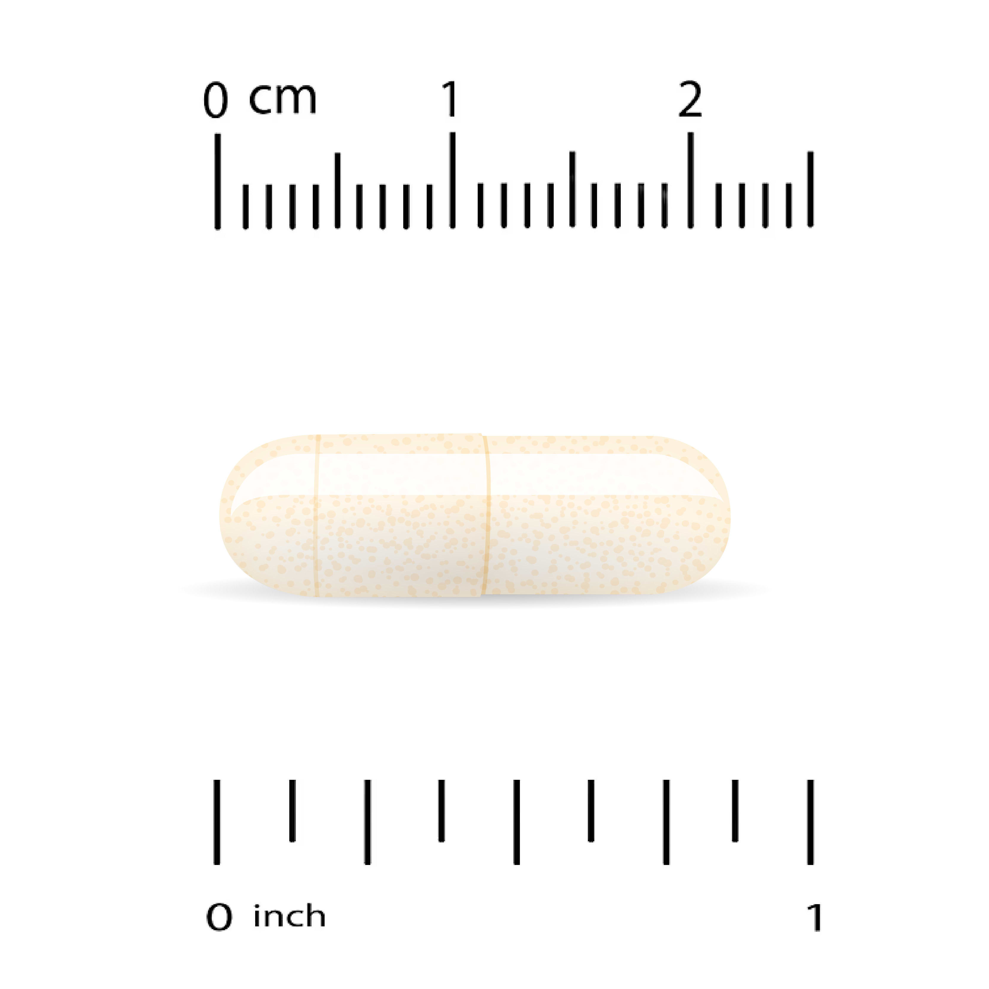 21st Century Acidophilus Probiotic Blend – 150 gélules — étiquette 1