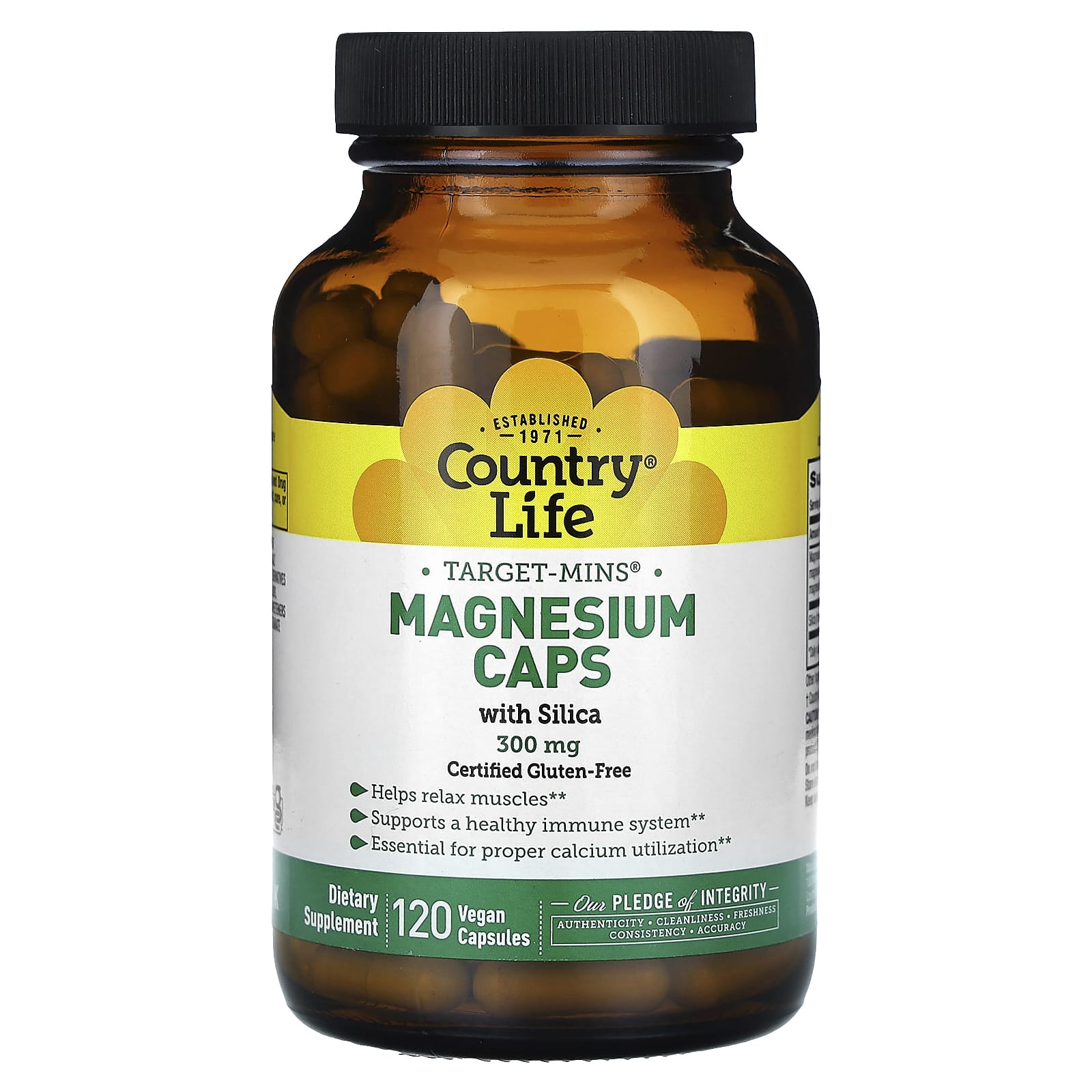 Country Life Target-Mins, Magnesium Caps with Silica – 120 gélules véganes — Tunisie