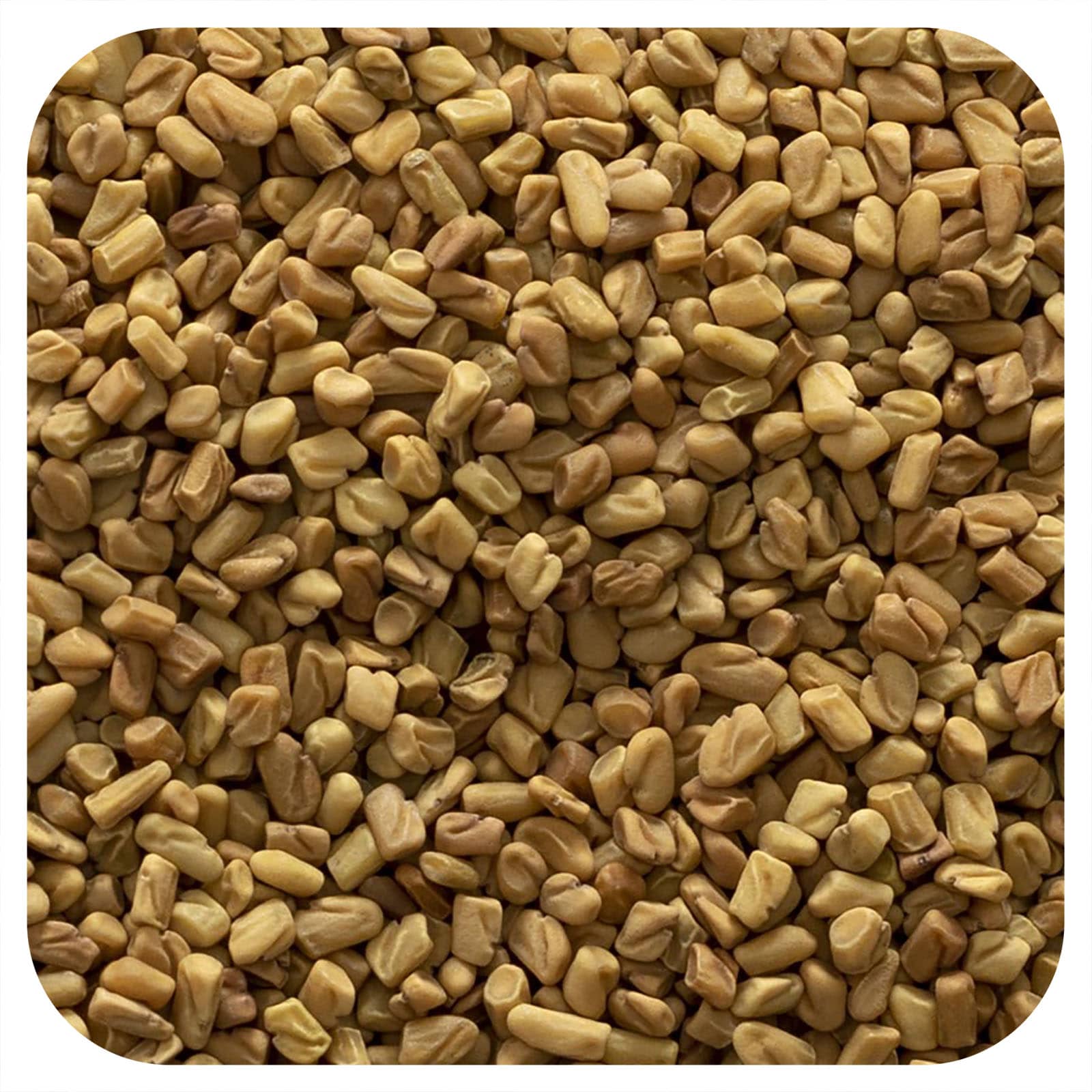 Frontier Co-op Organic Whole Fenugreek Seed – 453 g — Tunisie