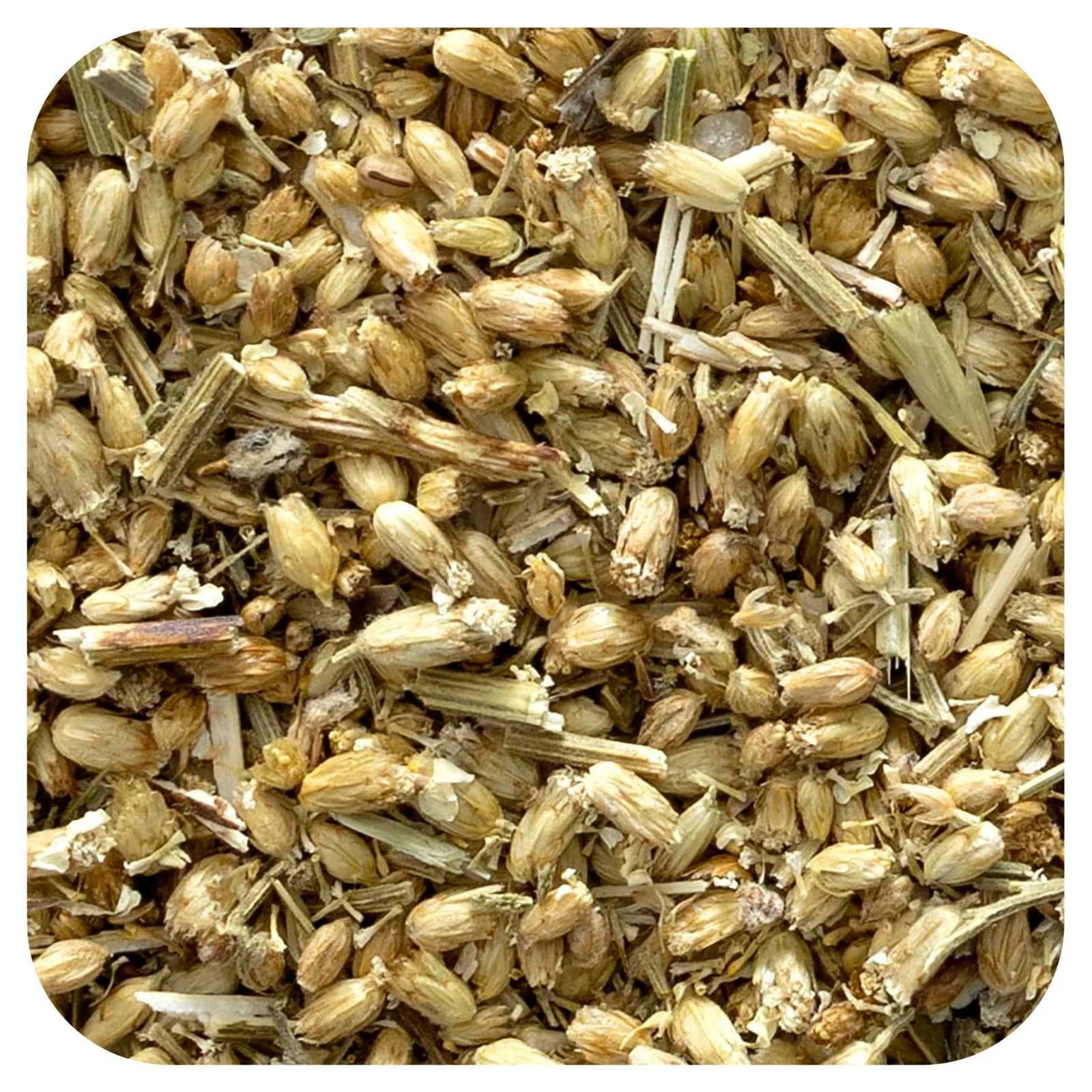 Frontier Co-op Organic Yarrow Flowering Tops, Cut & Sifted – 453 g — Tunisie
