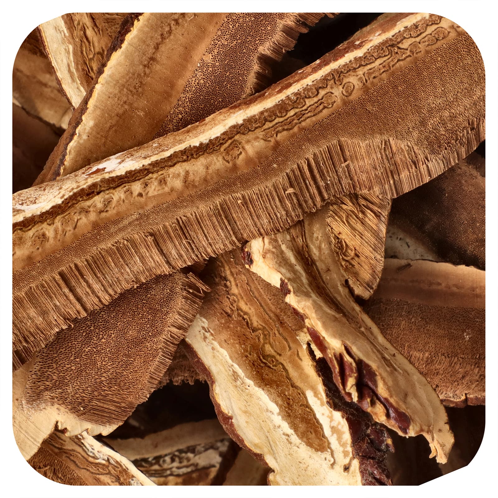Frontier Co-op Organic Dried Reishi Mushrooms, Slices – 113 g — Tunisie
