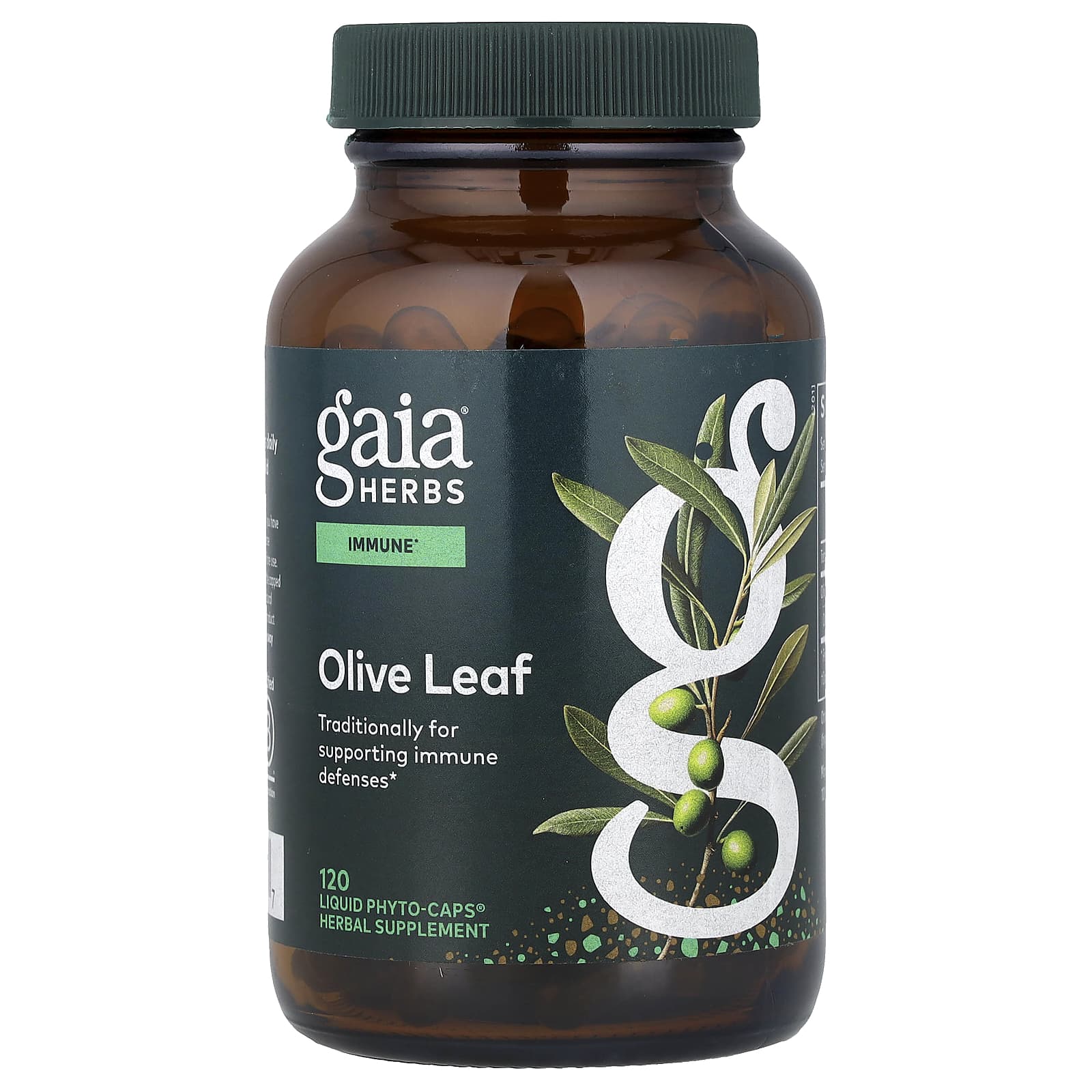 Gaia Herbs Olive Leaf, 120 Liquid Phyto-Caps — Tunisie