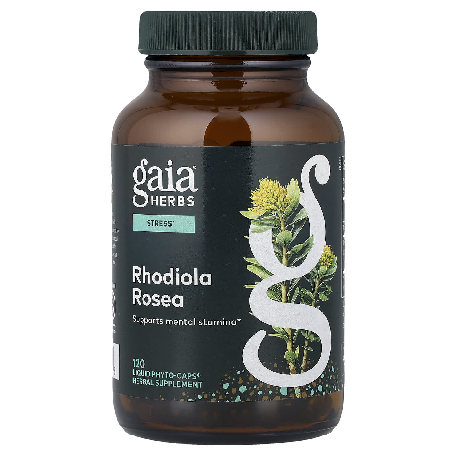 Gaia Herbs Rhodiola Rosea, 120 Liquid Phyto-Caps (120 mg Per cap) — Tunisie