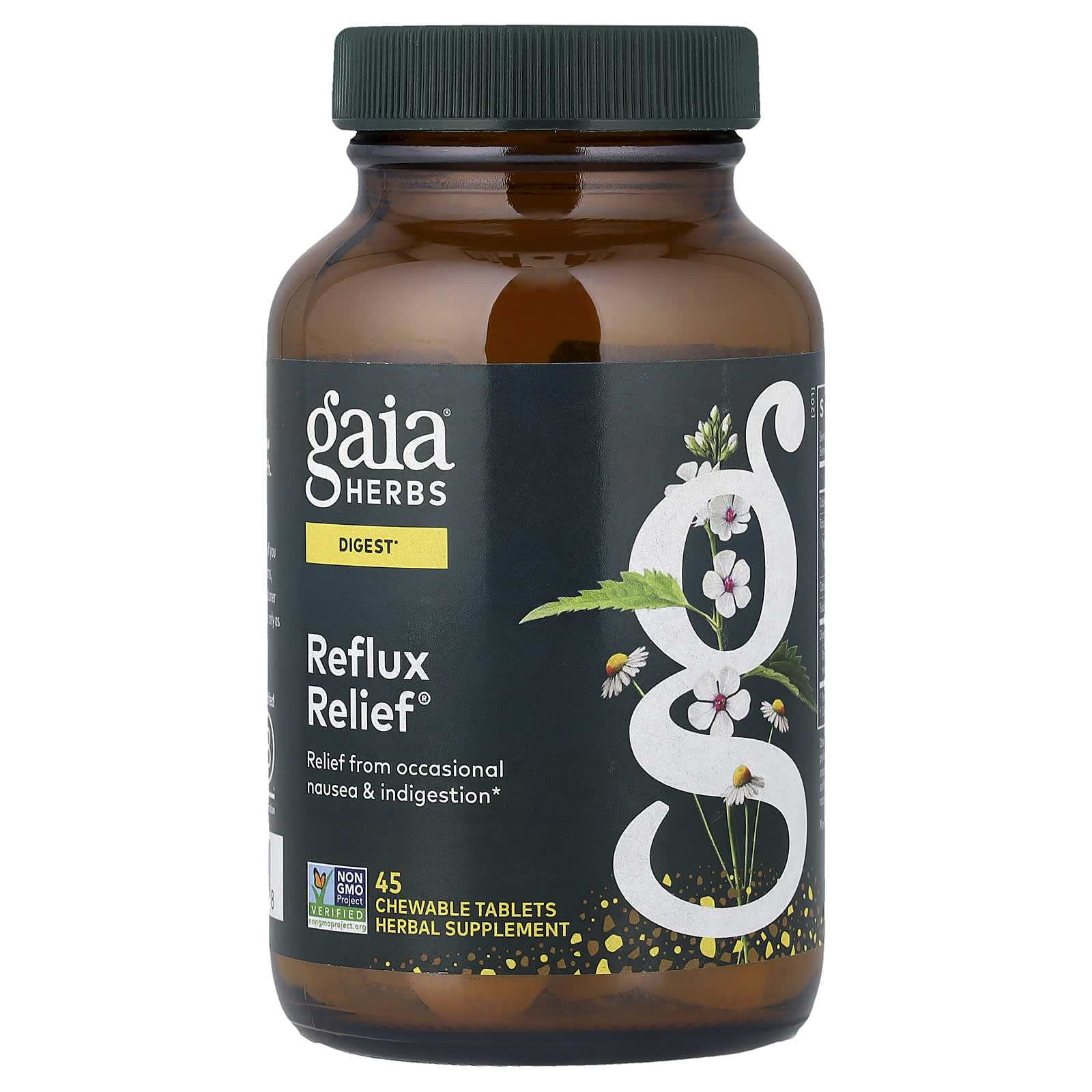Gaia Herbs Reflux Relief, 45 Chewable Tablets — Tunisie
