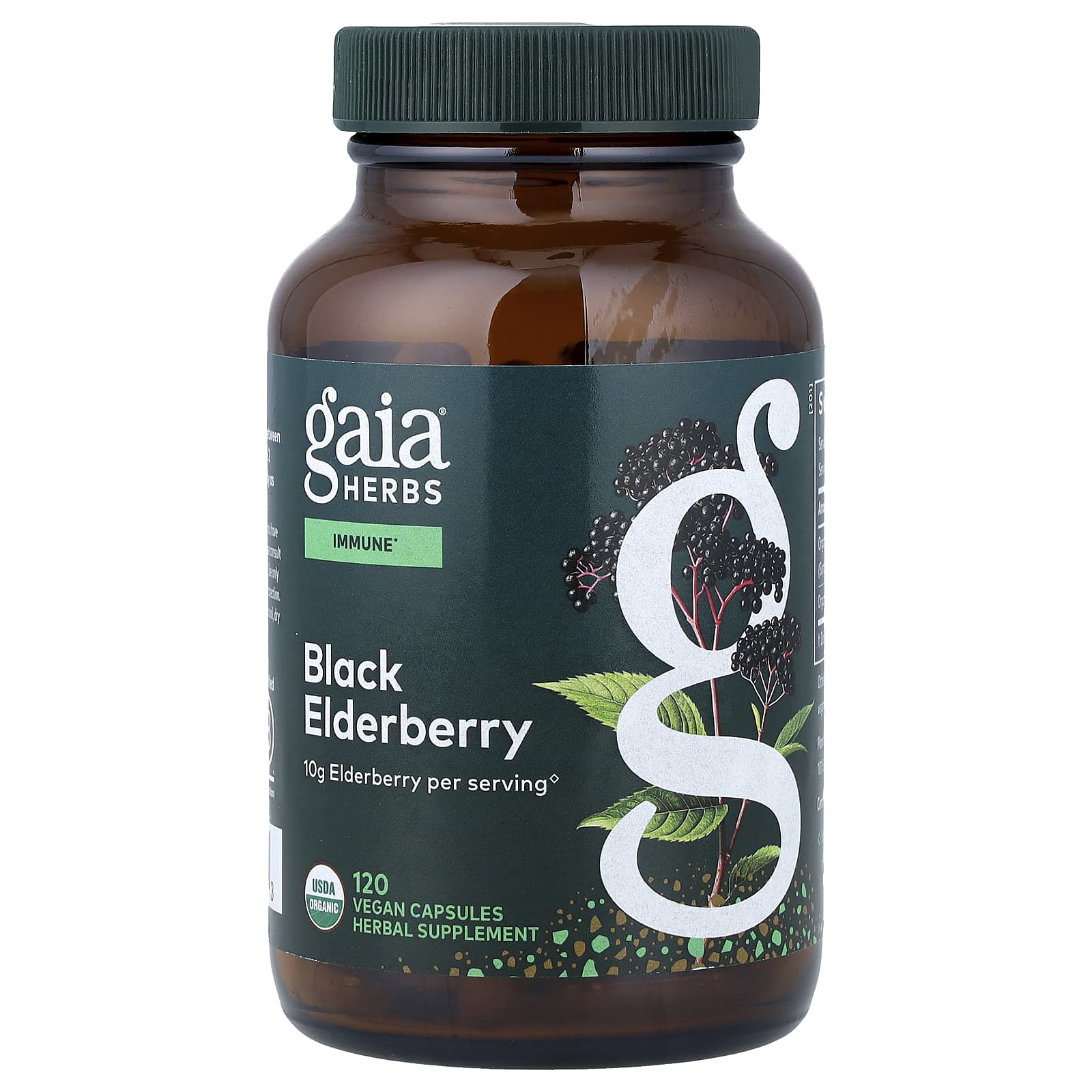 Gaia Herbs Black Elderberry – Black Elderberry – 120 gélules véganes — Tunisie