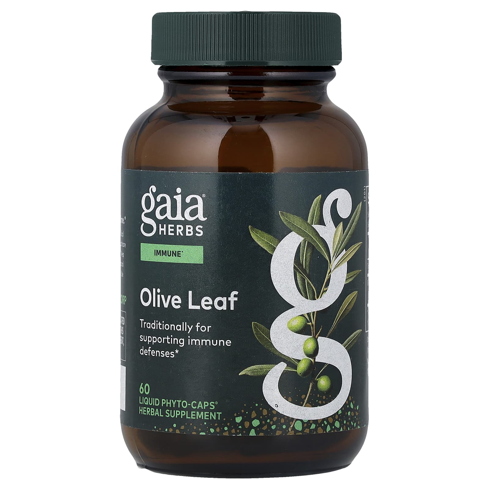 Gaia Herbs Olive Leaf, 60 Liquid Phyto-Caps (680 mg per Capsule) — Tunisie
