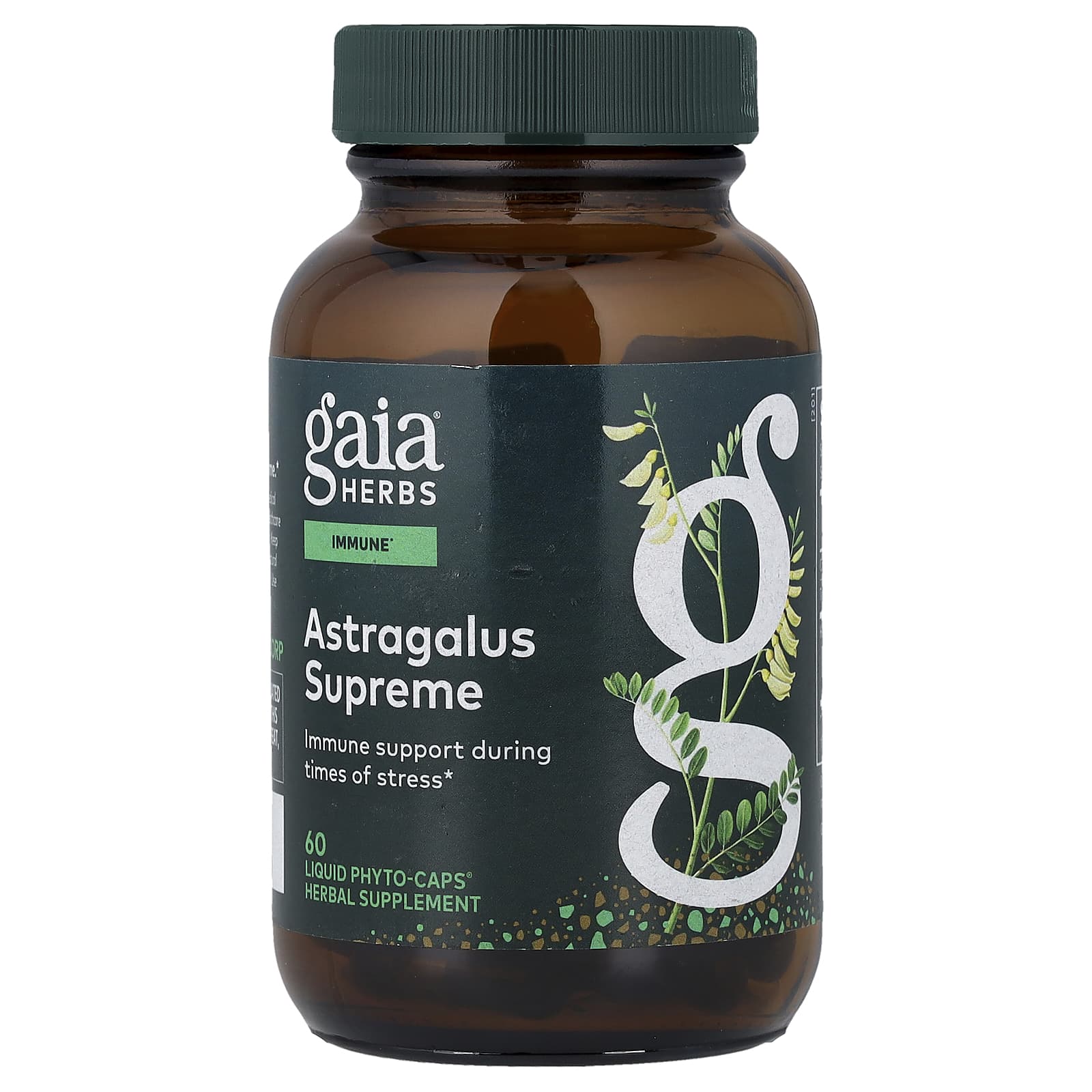 Gaia Herbs Astragalus Supreme, 60 Liquid Phyto-Caps — Tunisie