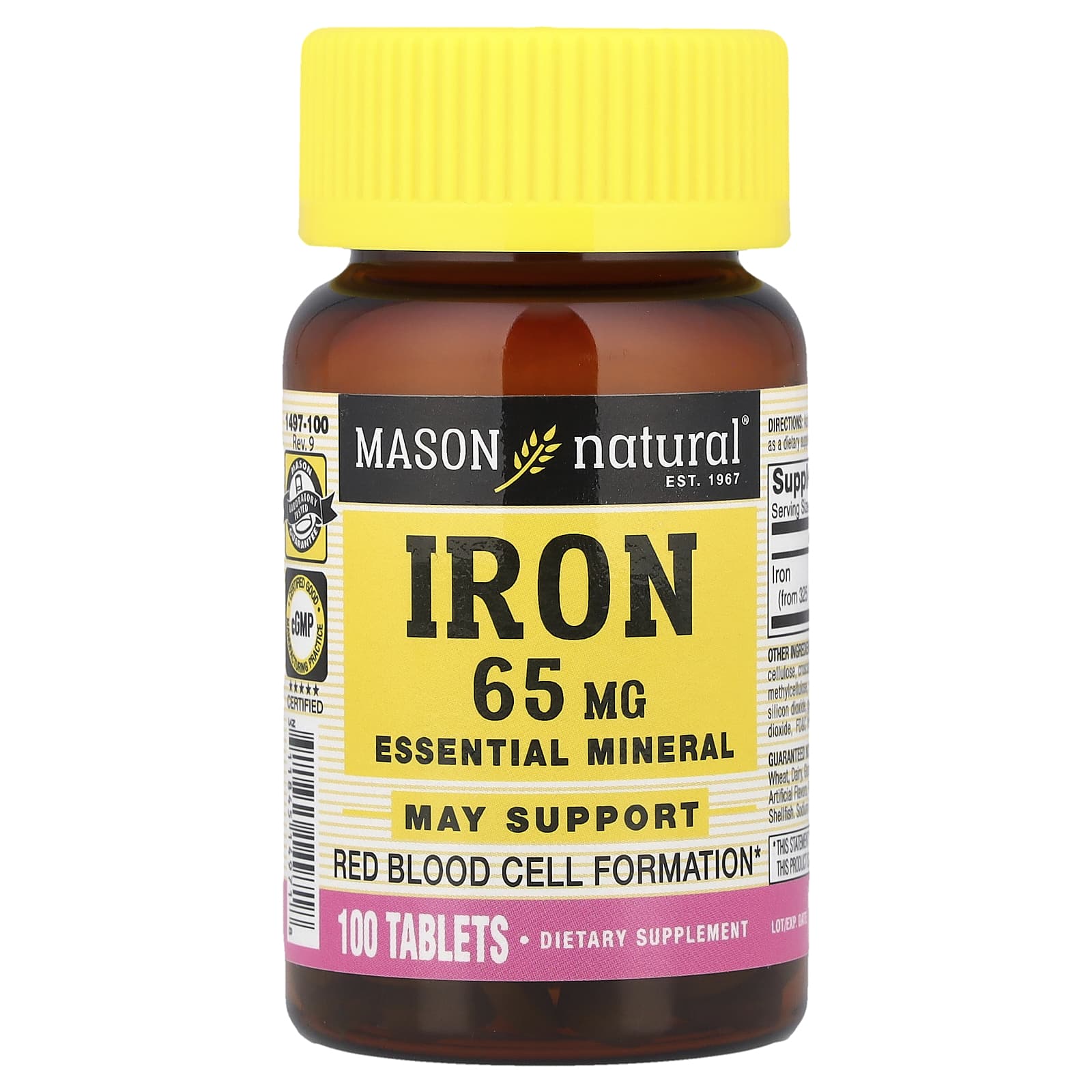 Mason Natural Iron – 100 comprimés — Tunisie
