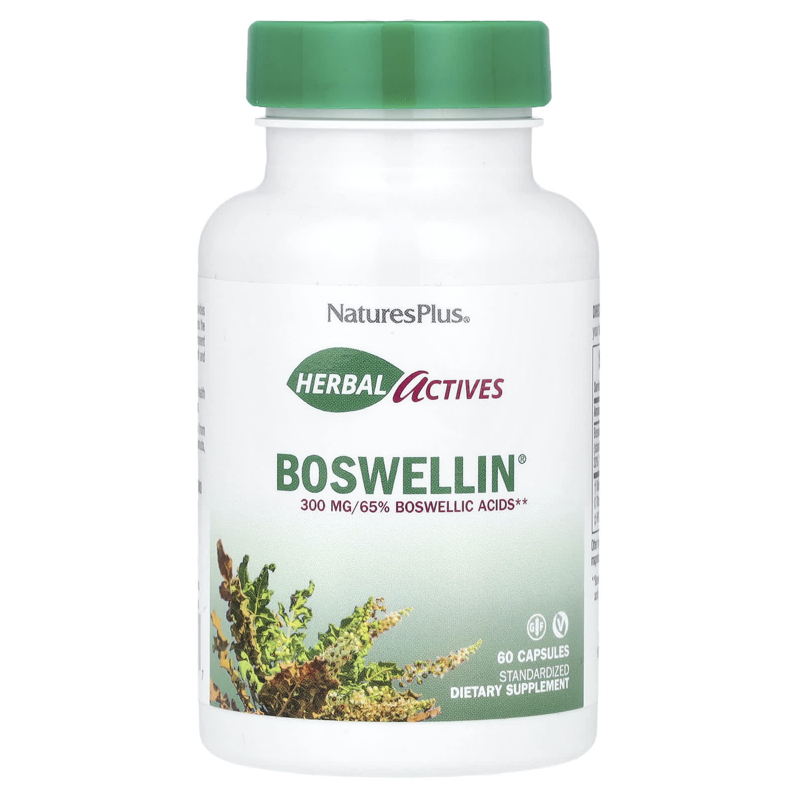 NaturesPlus Herbal Actives, Boswellin – 60 gélules — Tunisie
