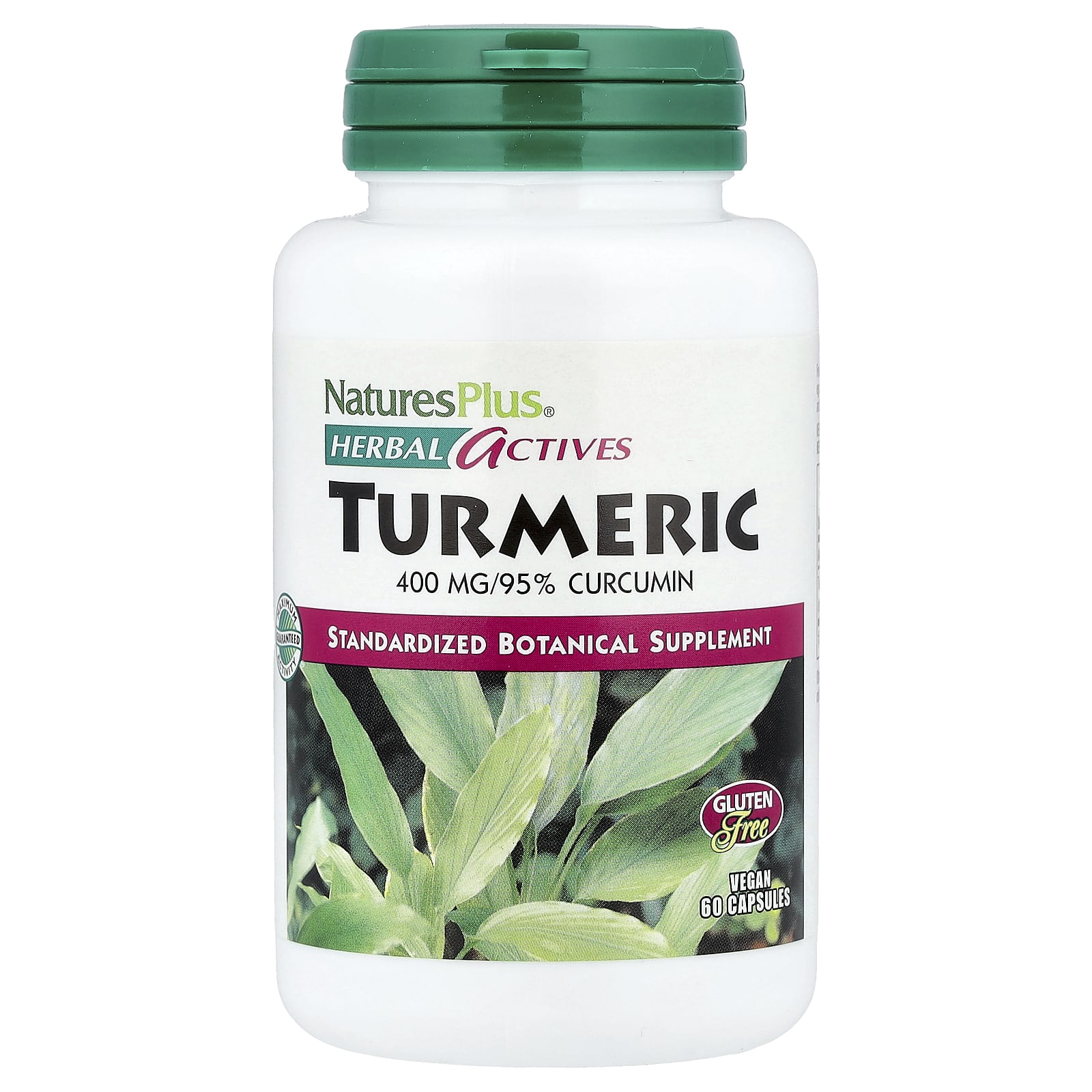 NaturesPlus Herbal Actives, Turmeric – 60 gélules — Tunisie