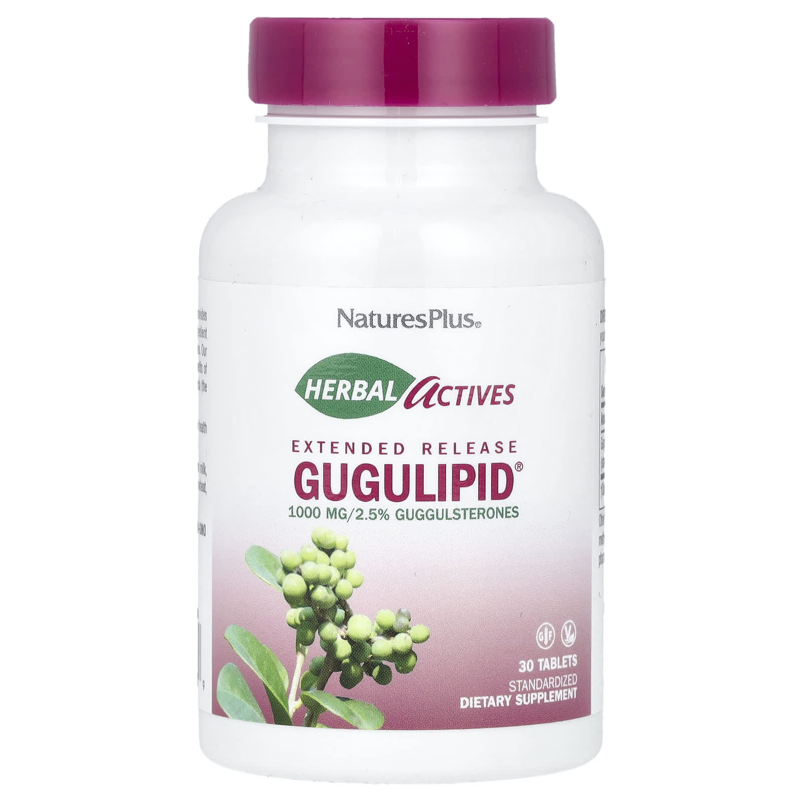 NaturesPlus Herbal Actives, Gugulipid, Extended Release – 30 comprimés — Tunisie