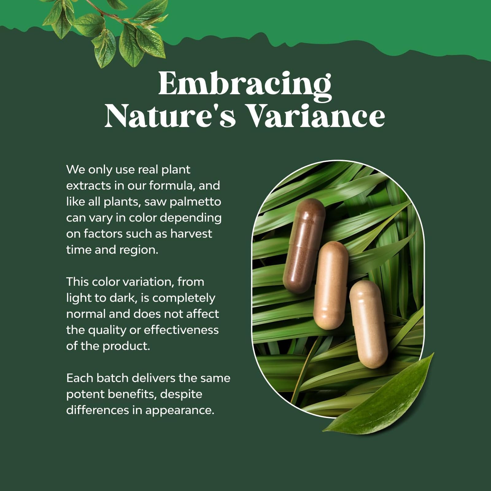 Nature's Craft Saw Palmetto – 100 gélules — étiquette 4