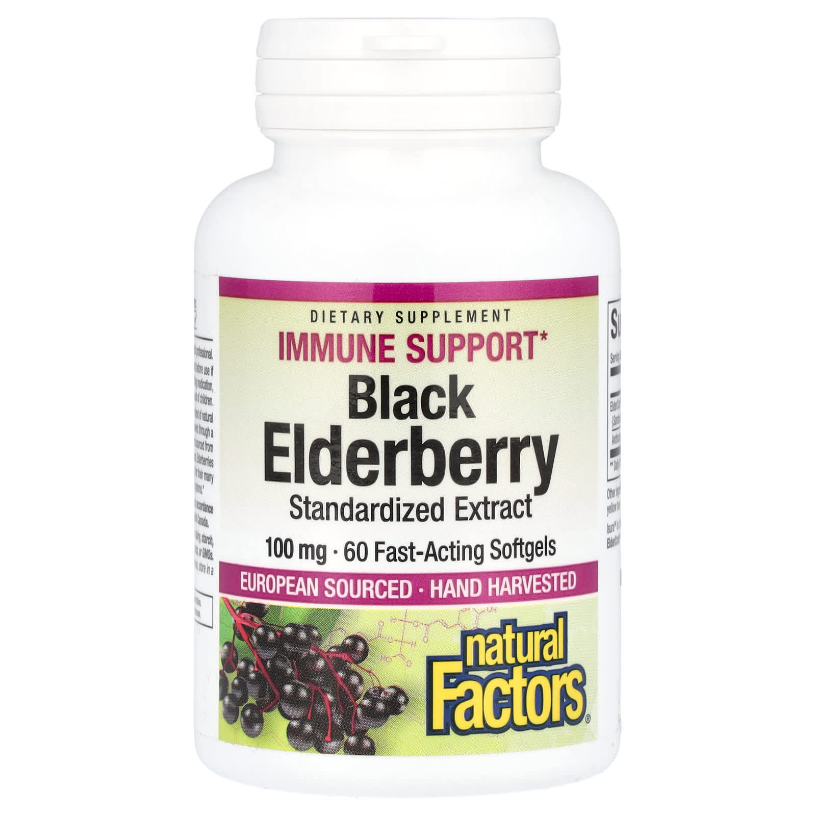 Natural Factors Black Elderberry – Black Elderberry – 100 mg — Tunisie
