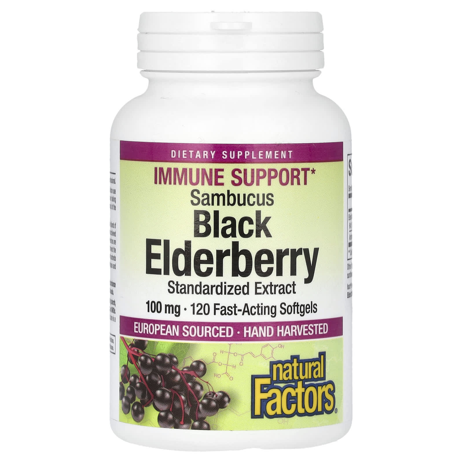 Natural Factors Sambucus Black Elderberry – Sambucus Black Elderberry – 100 mg — Tunisie