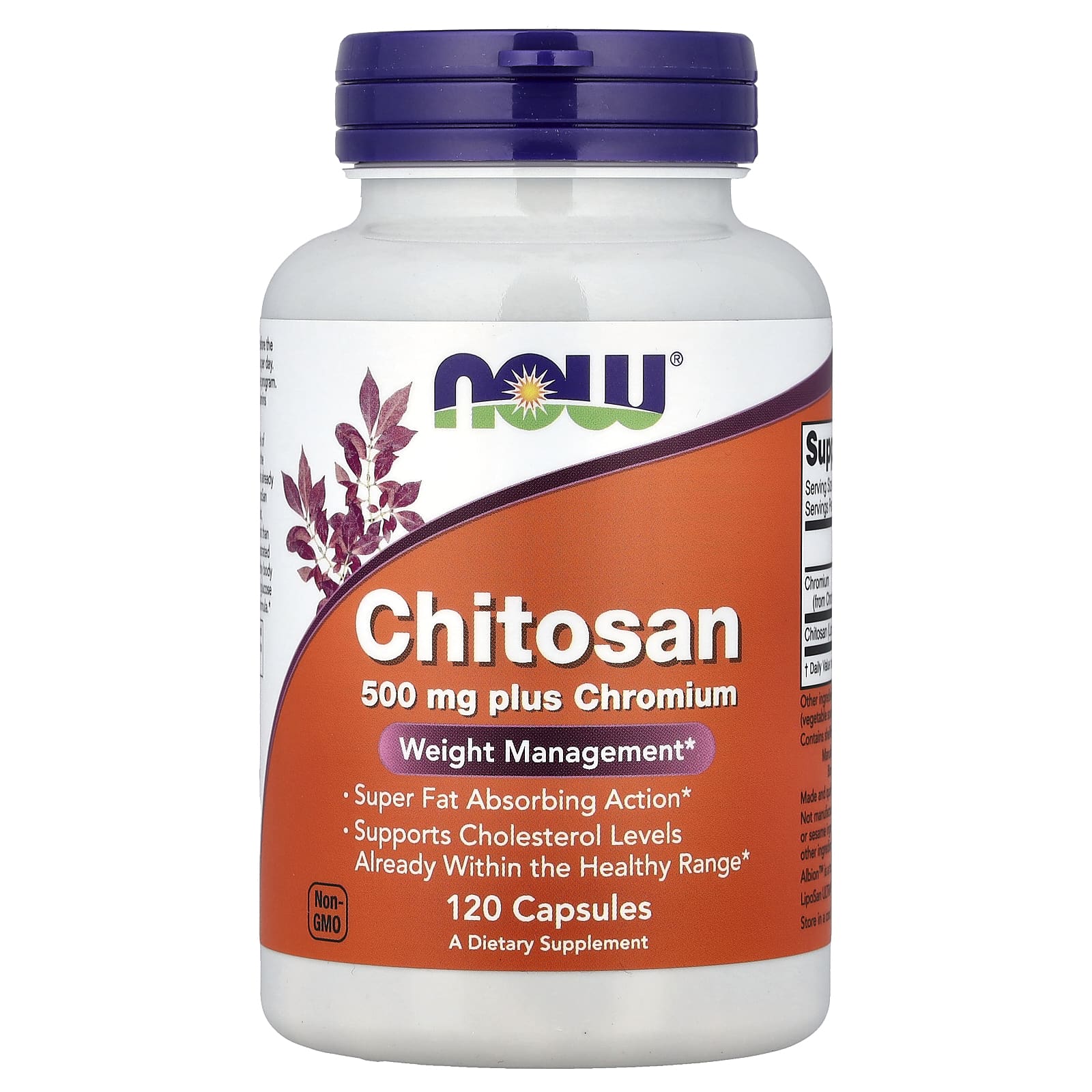 NOW Foods Chitosan plus Chromium – 120 gélules — Tunisie