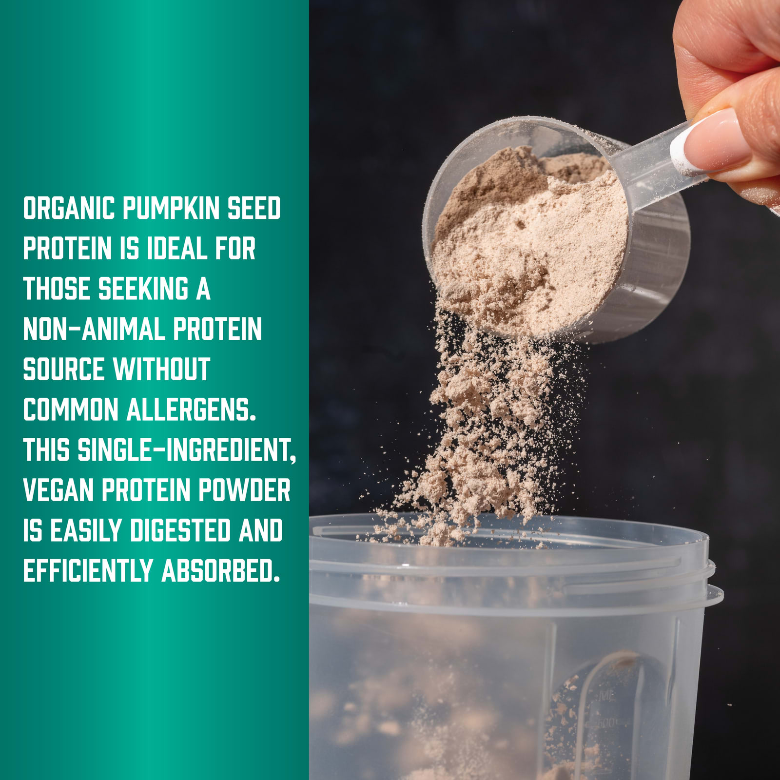 NOW Foods Sports, Organic Pumpkin Seed Protein Powder – Sans arôme – 454 g — étiquette 2