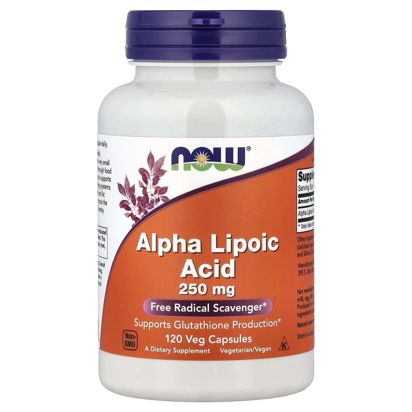 NOW Foods Alpha Lipoic Acid – 250 mg – 120 gélules végétales — Tunisie
