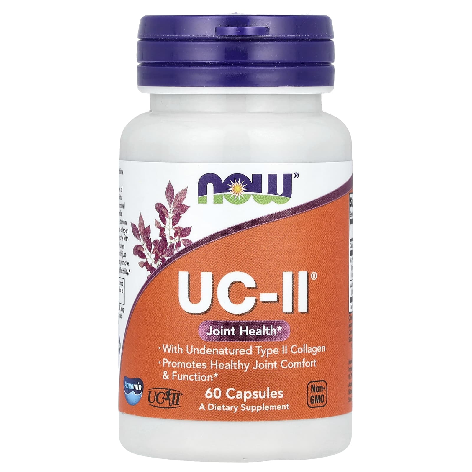 NOW Foods UC-II Joint Health with Undenatured Type II Collagen – 60 gélules — Tunisie