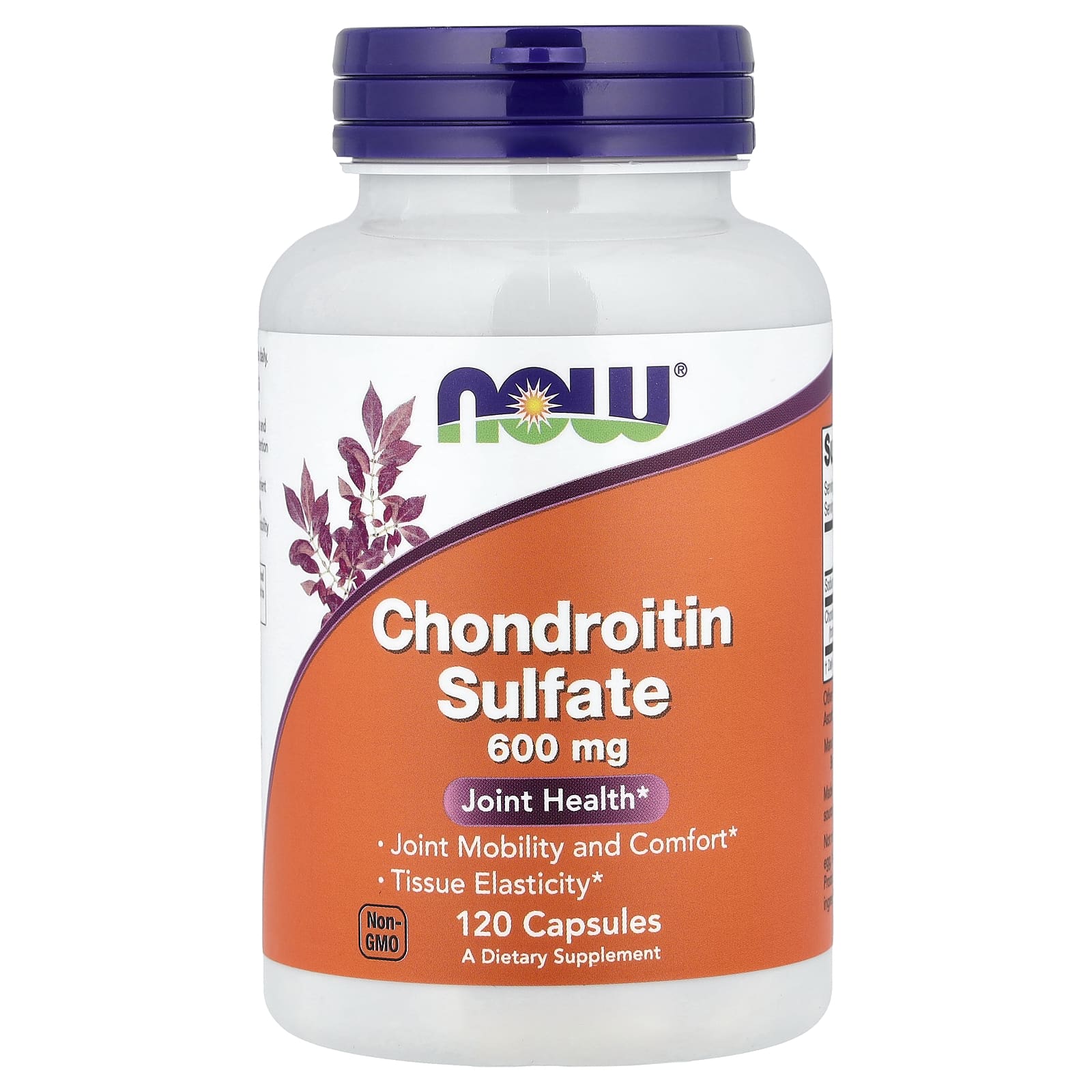 NOW Foods Chondroitin Sulfate – 120 gélules — Tunisie