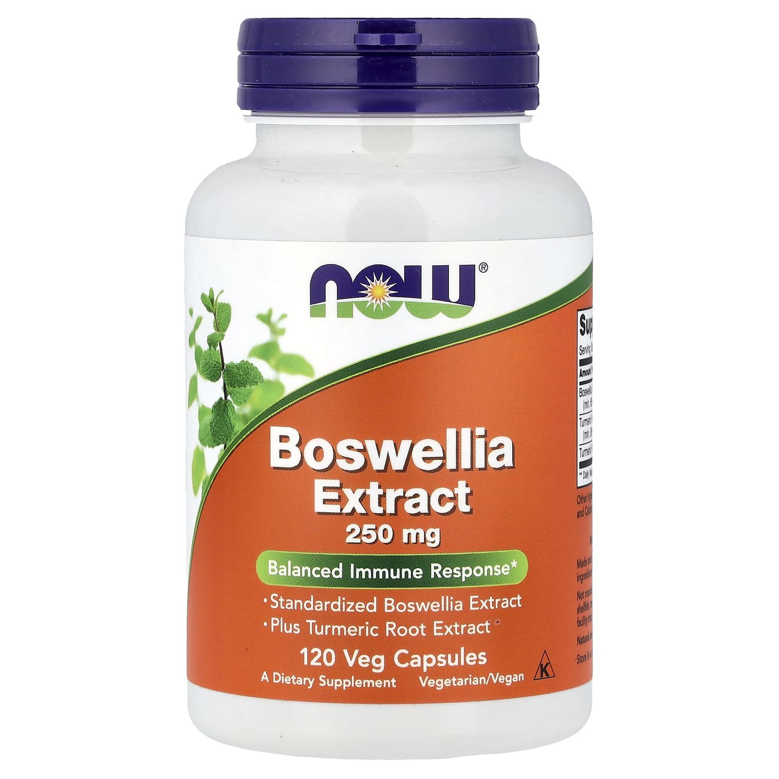 NOW Foods Boswellia Extract – 120 gélules végétales — Tunisie