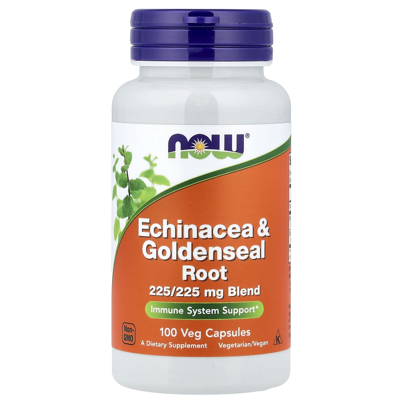 NOW Foods Echinacea & Goldenseal Root – 100 gélules végétales — Tunisie
