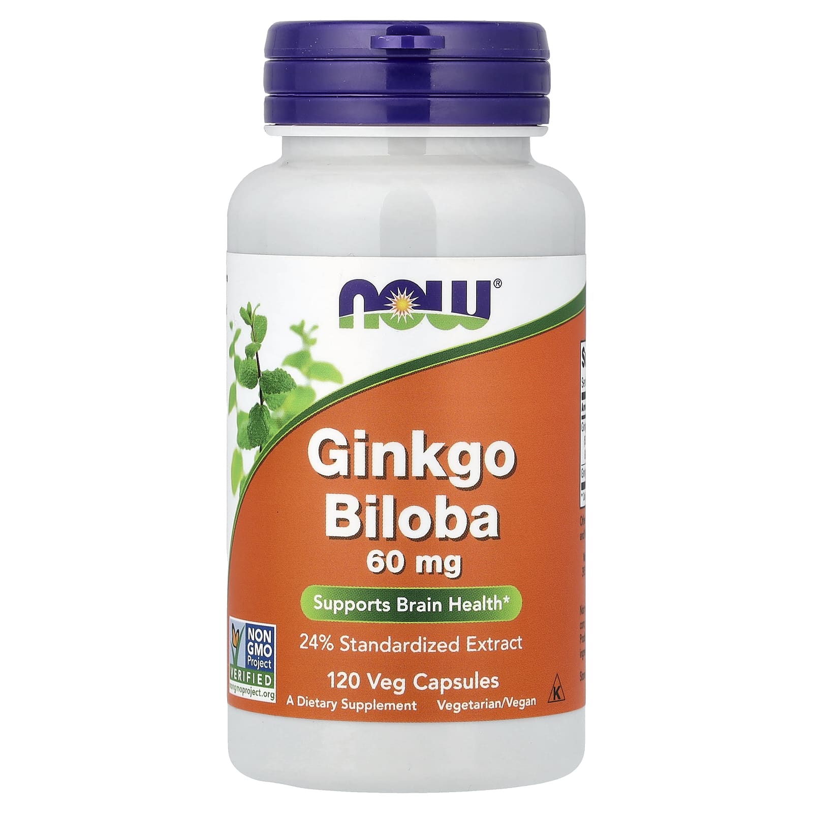 NOW Foods Ginkgo Biloba – 120 gélules végétales — Tunisie