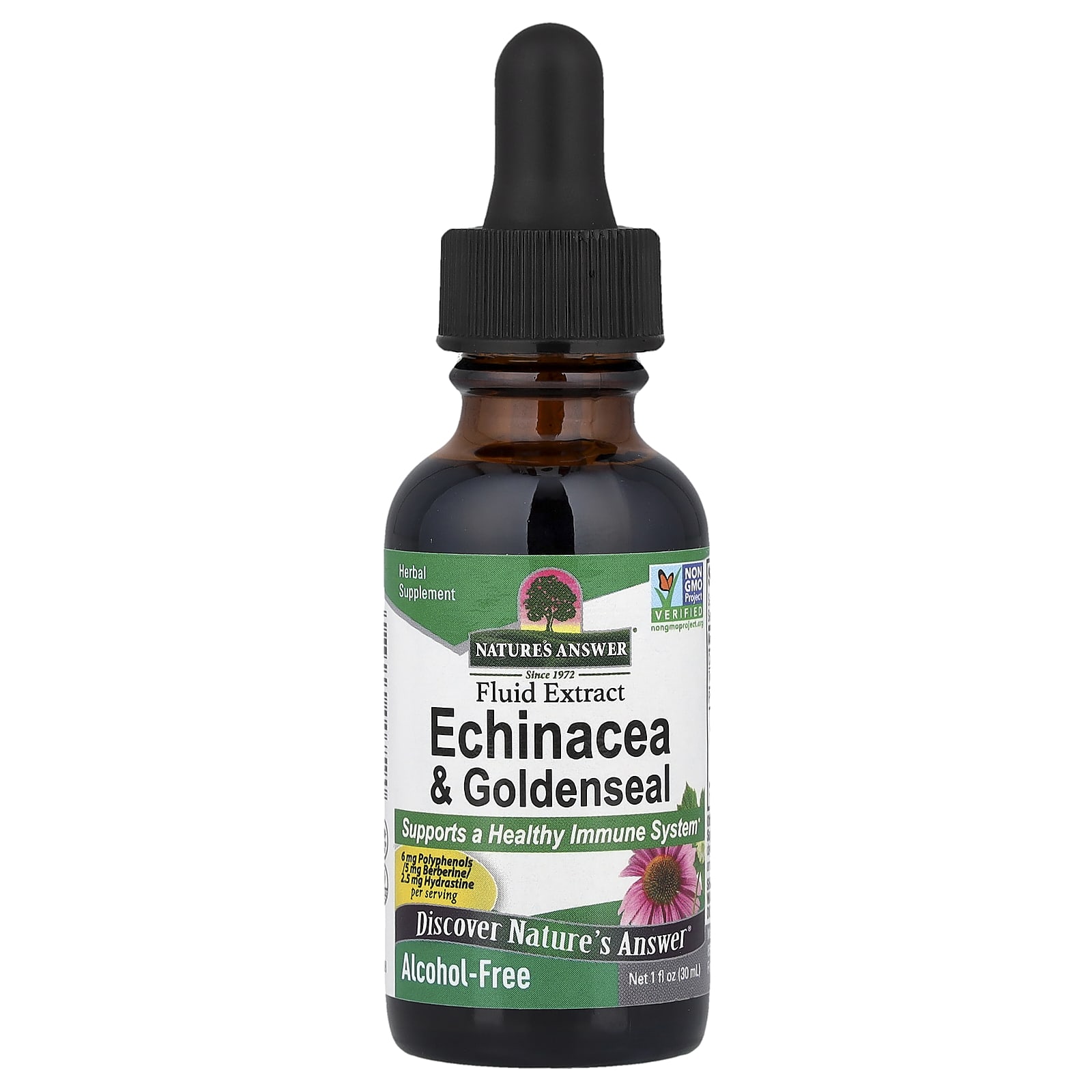 Nature's Answer Echinacea & Goldenseal, Alcohol-Free – 30 ml — Tunisie