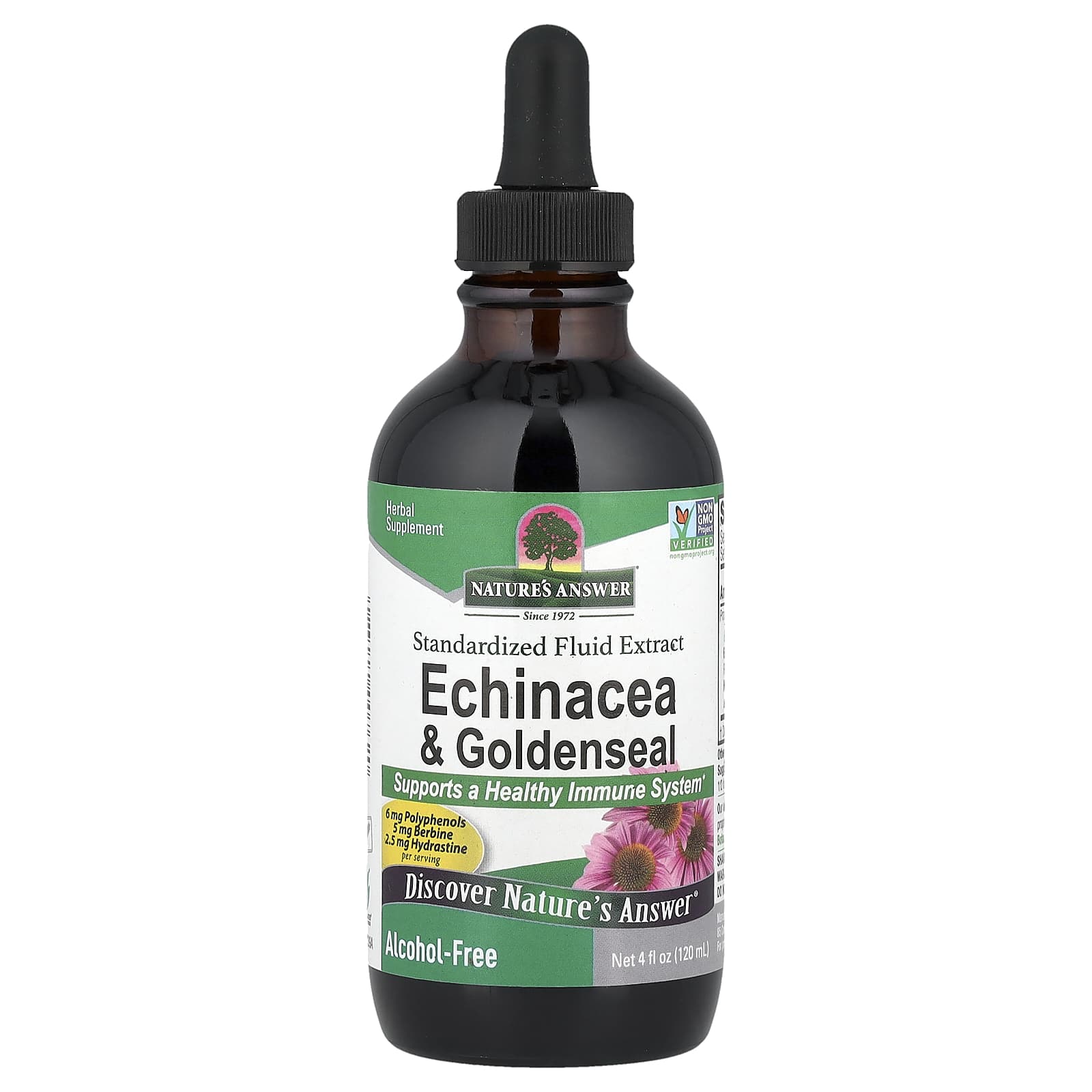 Nature's Answer Echinacea & Goldenseal, Alcohol-Free – 120 ml — Tunisie