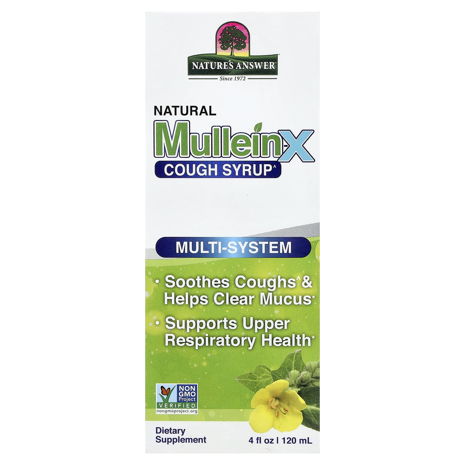 Nature's Answer Natural Mullein-X Cough Syrup, Multi-System – 120 ml — Tunisie