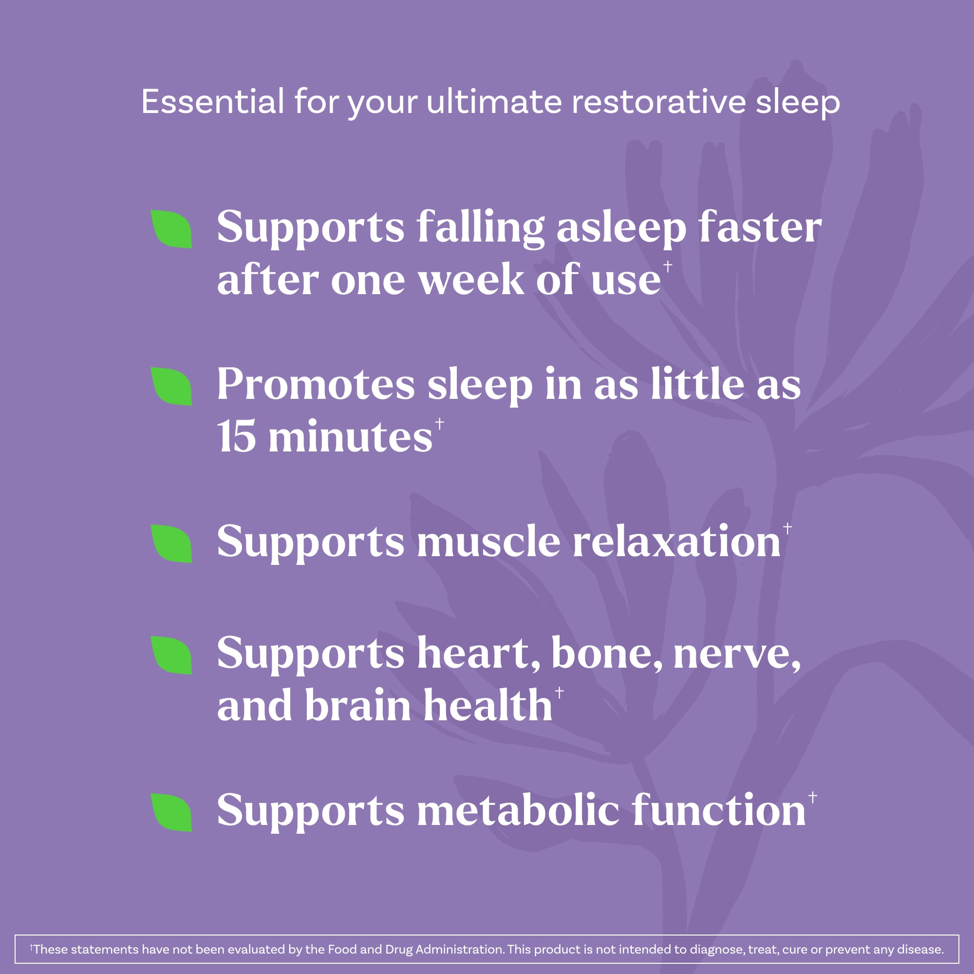 Natrol Sleep & Restore Gummies with 5 mg Melatonin – Cherry – 60 gommes — étiquette 4