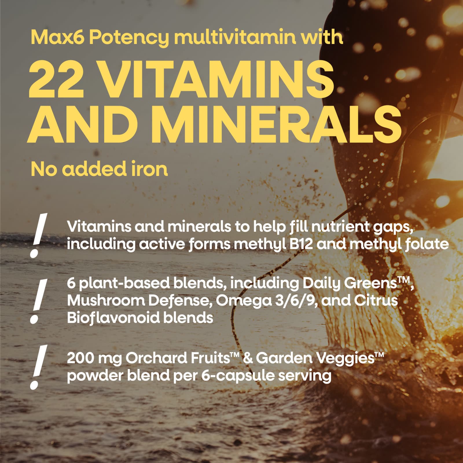 Nature's Way Alive! Max6 Potency, Adult Complete Multivitamin, No Added Iron – 90 gélules — étiquette 4