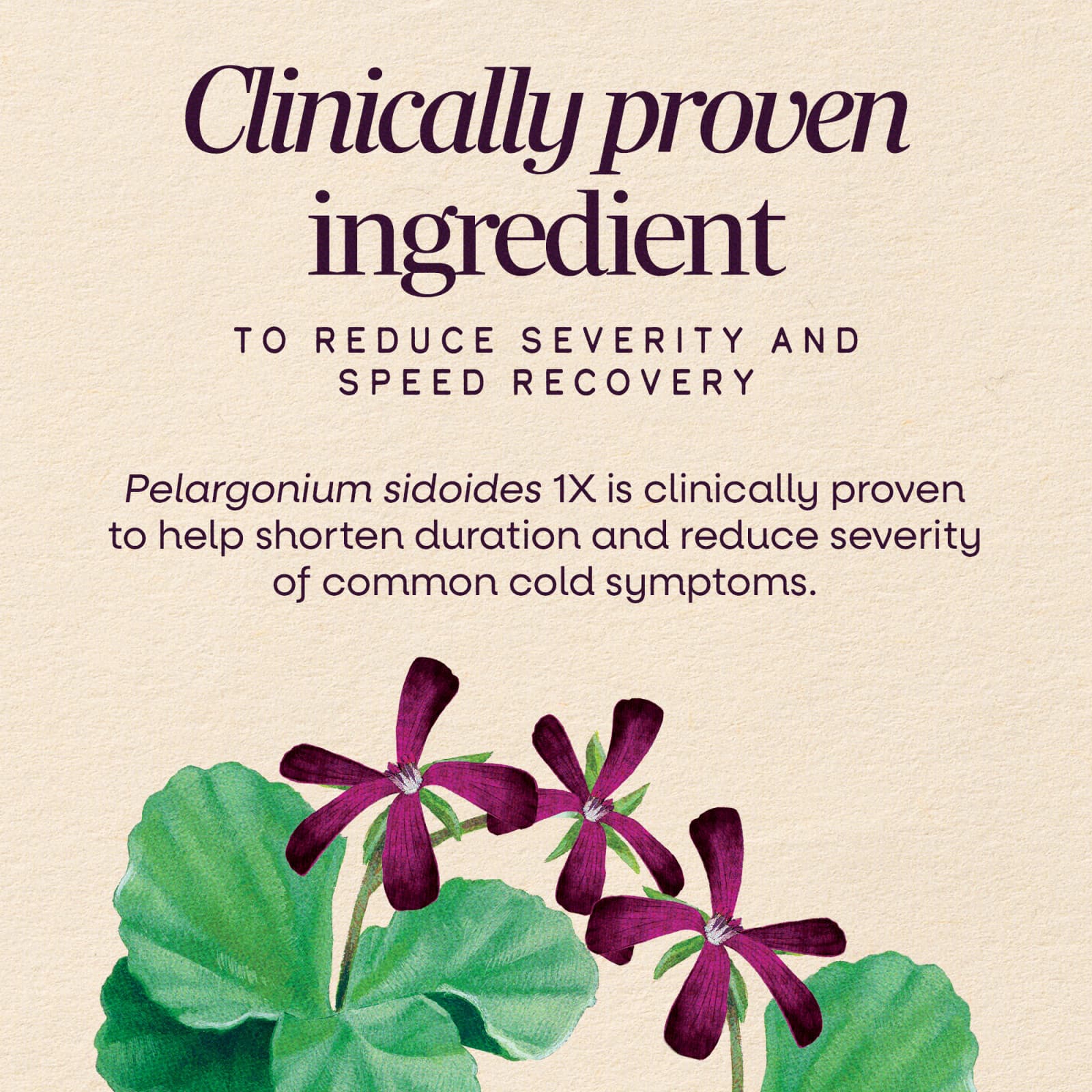 Nature's Way Sambucus, Cold + Flu Relief, Berry – Elderberry Chewables – 20 comprimés — étiquette 2