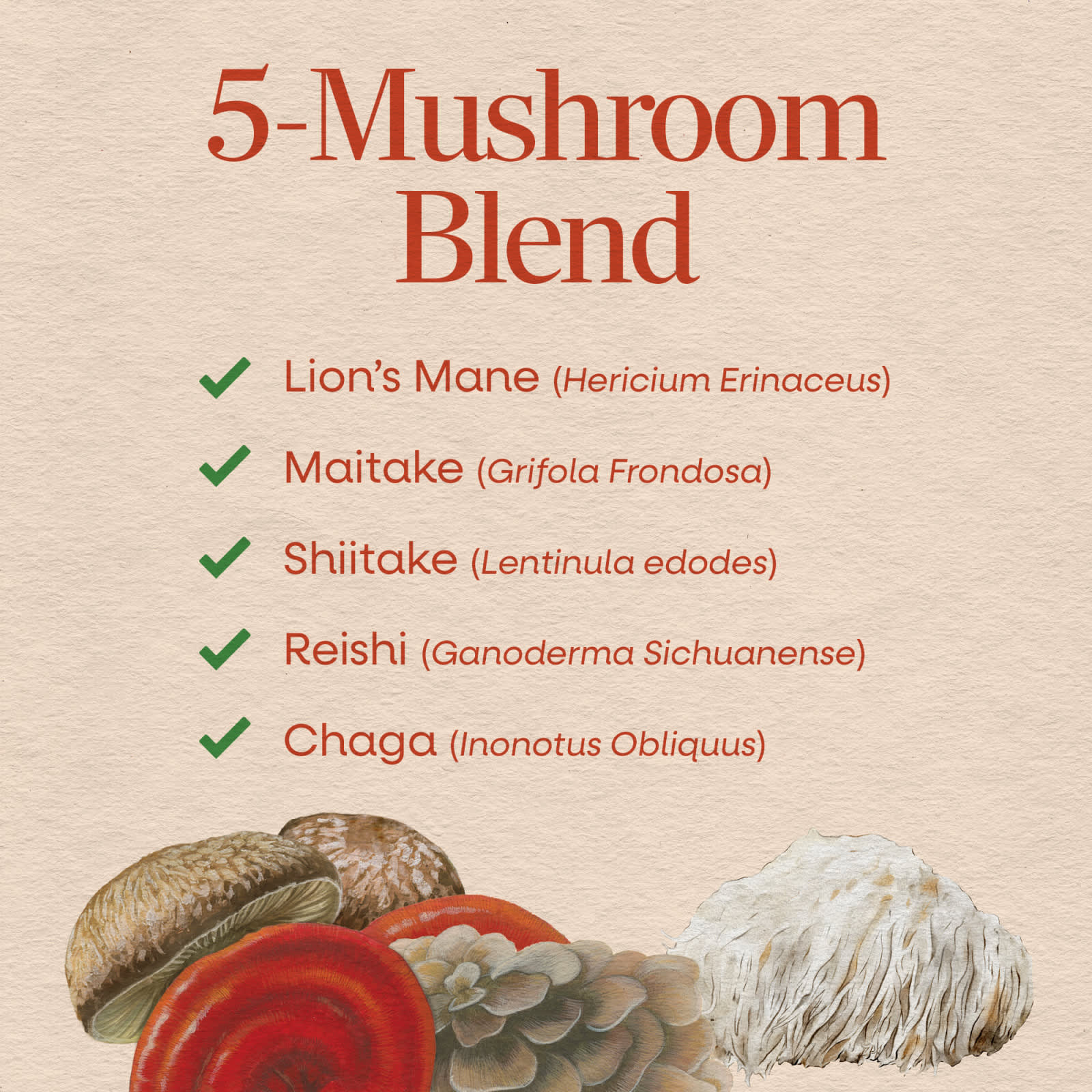 Nature's Way 5-Mushroom Blend – 60 gélules — étiquette 2