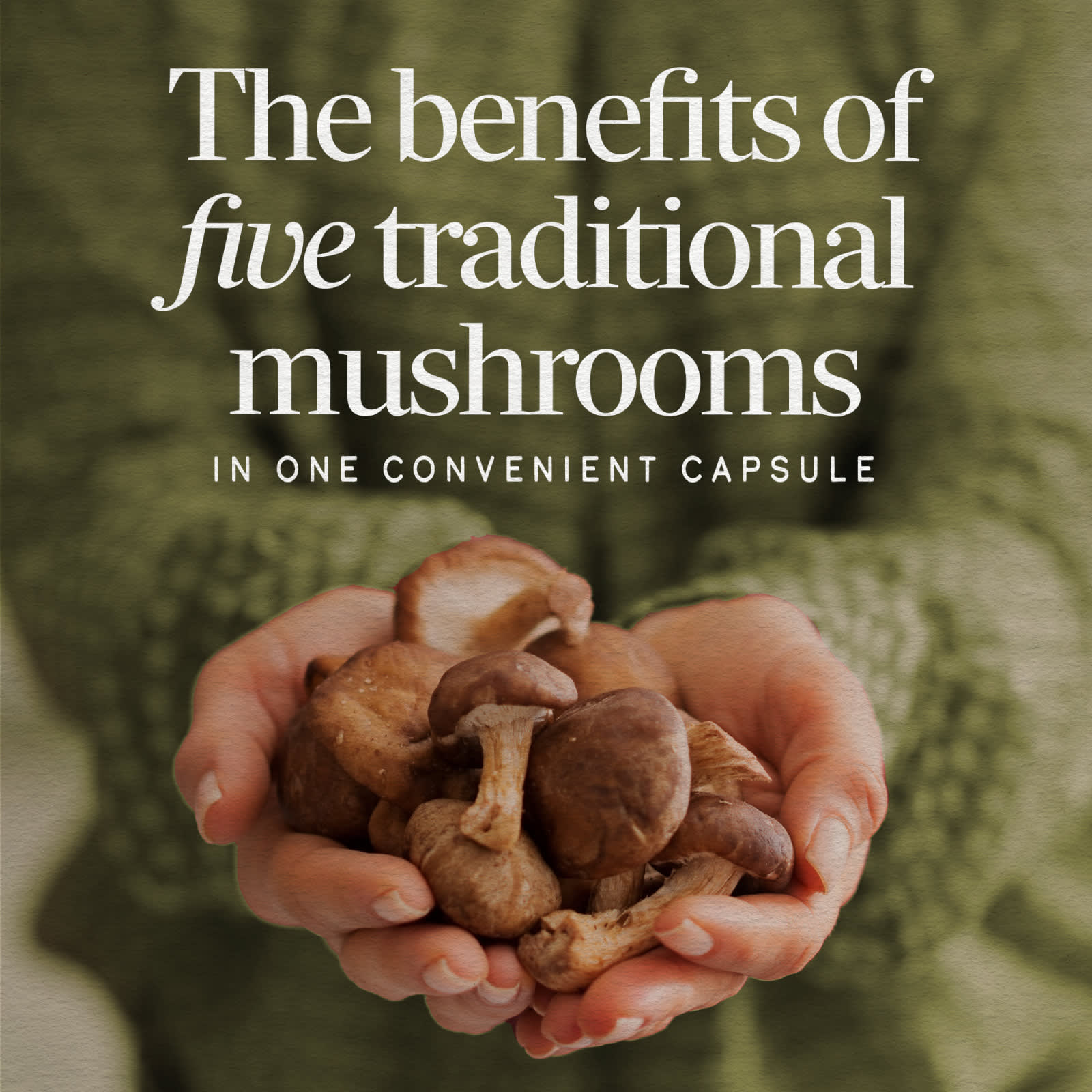 Nature's Way 5-Mushroom Blend – 60 gélules — étiquette 3