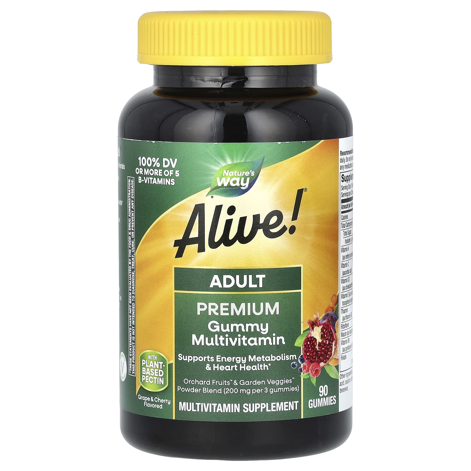Nature's Way Alive! Adult Premium Gummies Multivitamin – Grape and Cherry – 90 gommes — Tunisie