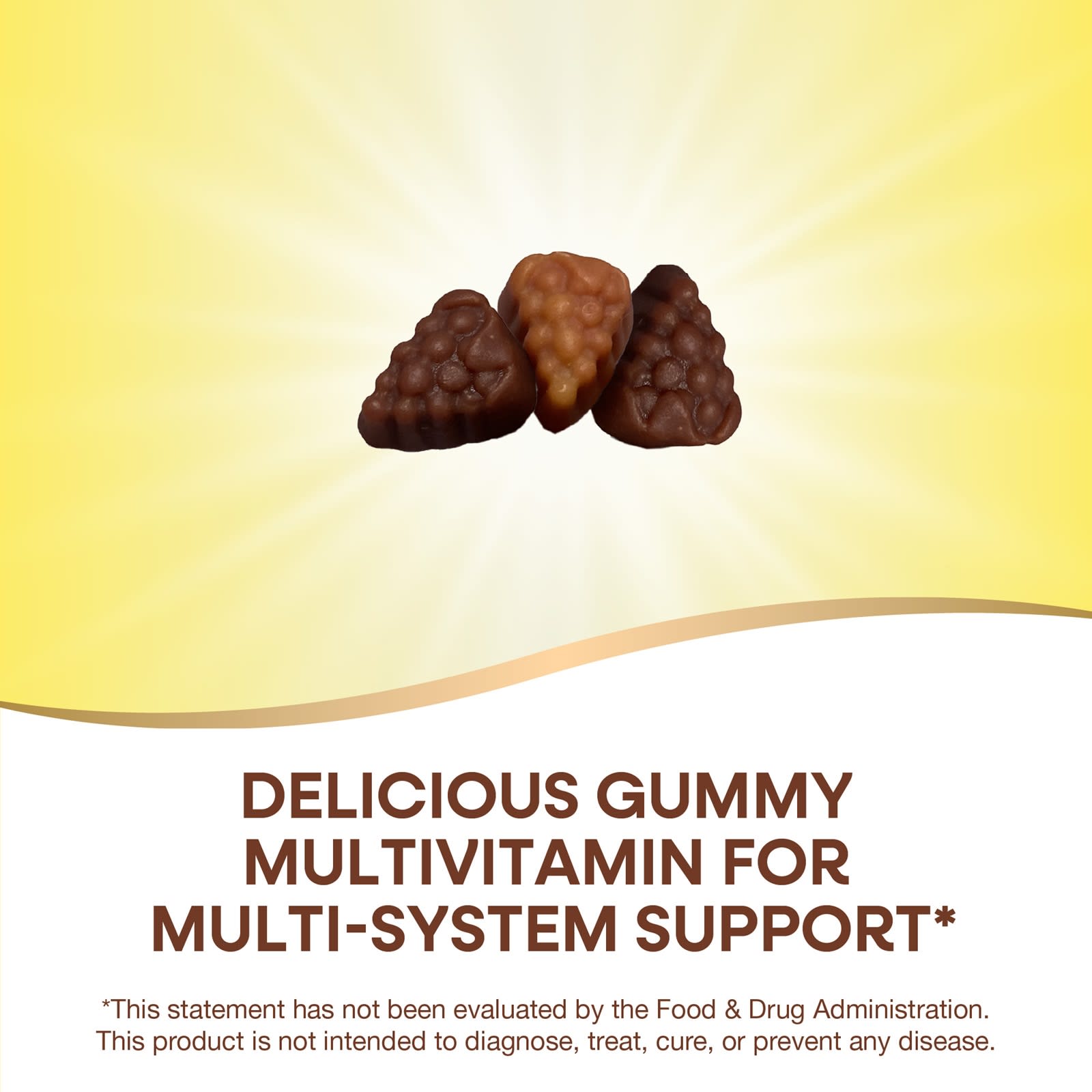Nature's Way Alive! Adult Premium Gummies Multivitamin – Grape and Cherry – 90 gommes — étiquette 1