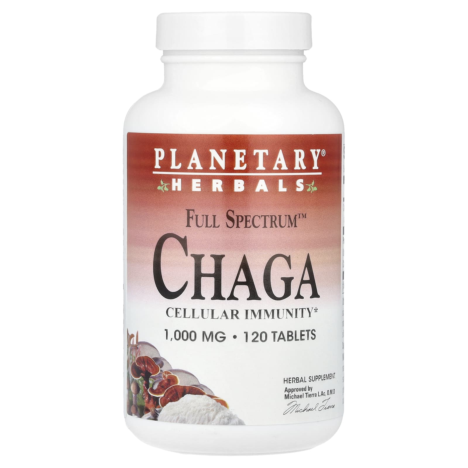 Planetary Herbals Full Spectrum Chaga – 120 comprimés — Tunisie