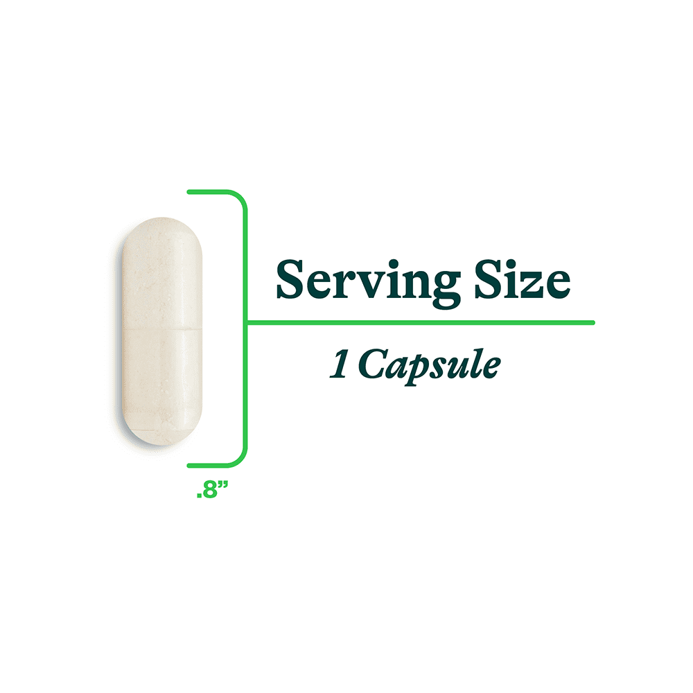 Seeking Health ProBiota Bifidobacterium – 60 gélules — étiquette 1