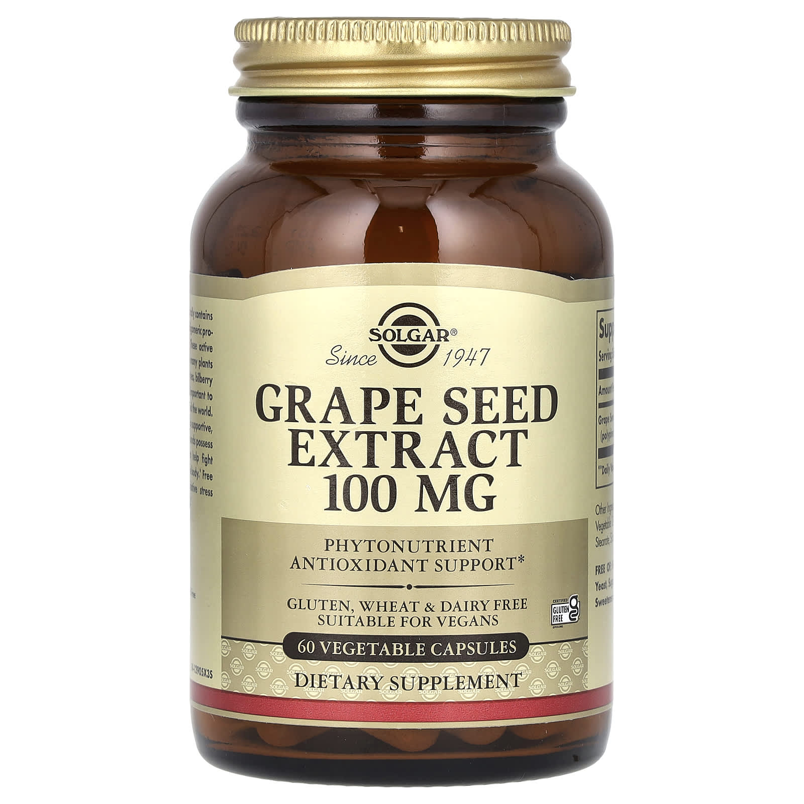Solgar Grape Seed Extract – Grape Seed Extract – 100 mg — Tunisie