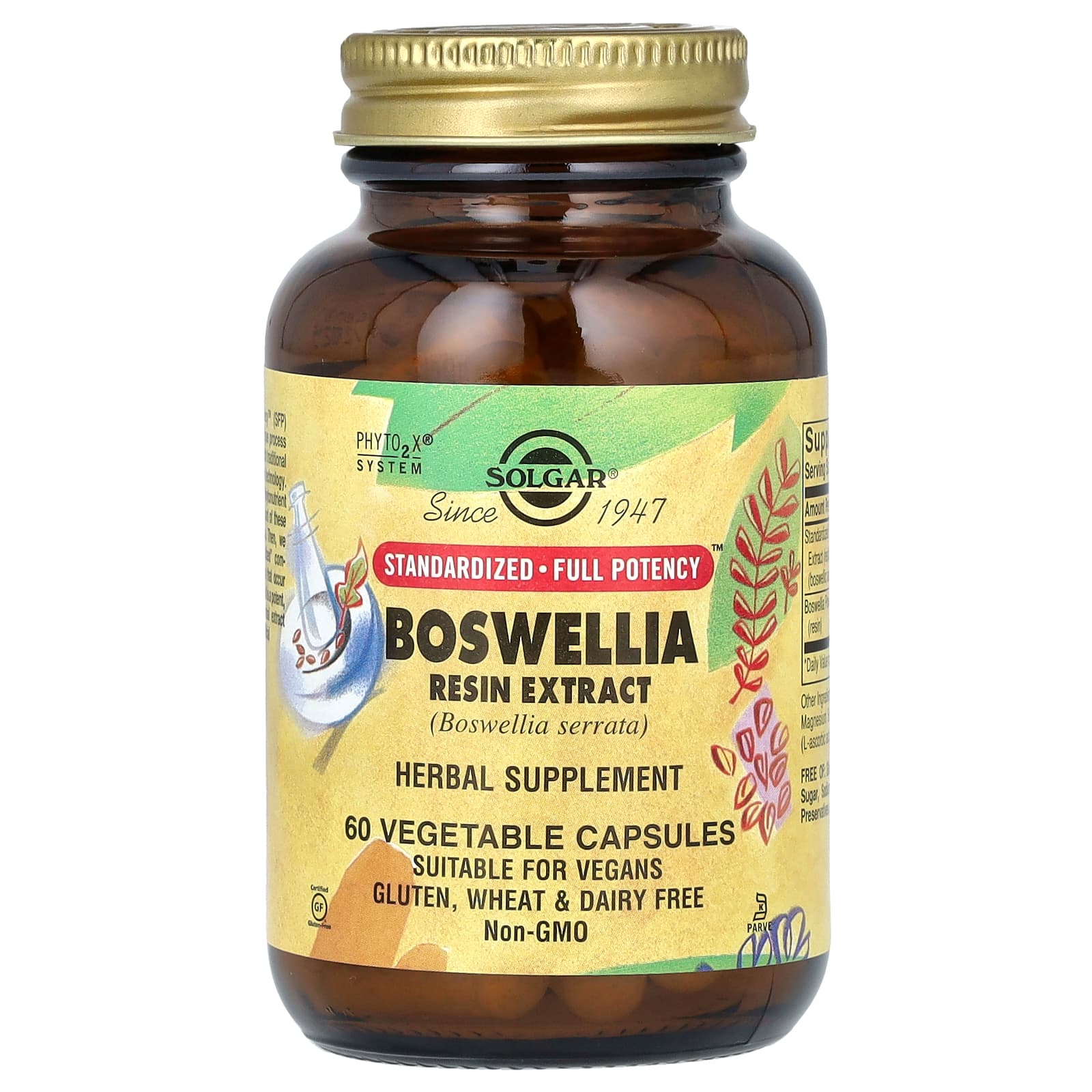 Solgar Boswellia Resin Extract, 60 Vegetable Capsules — Tunisie