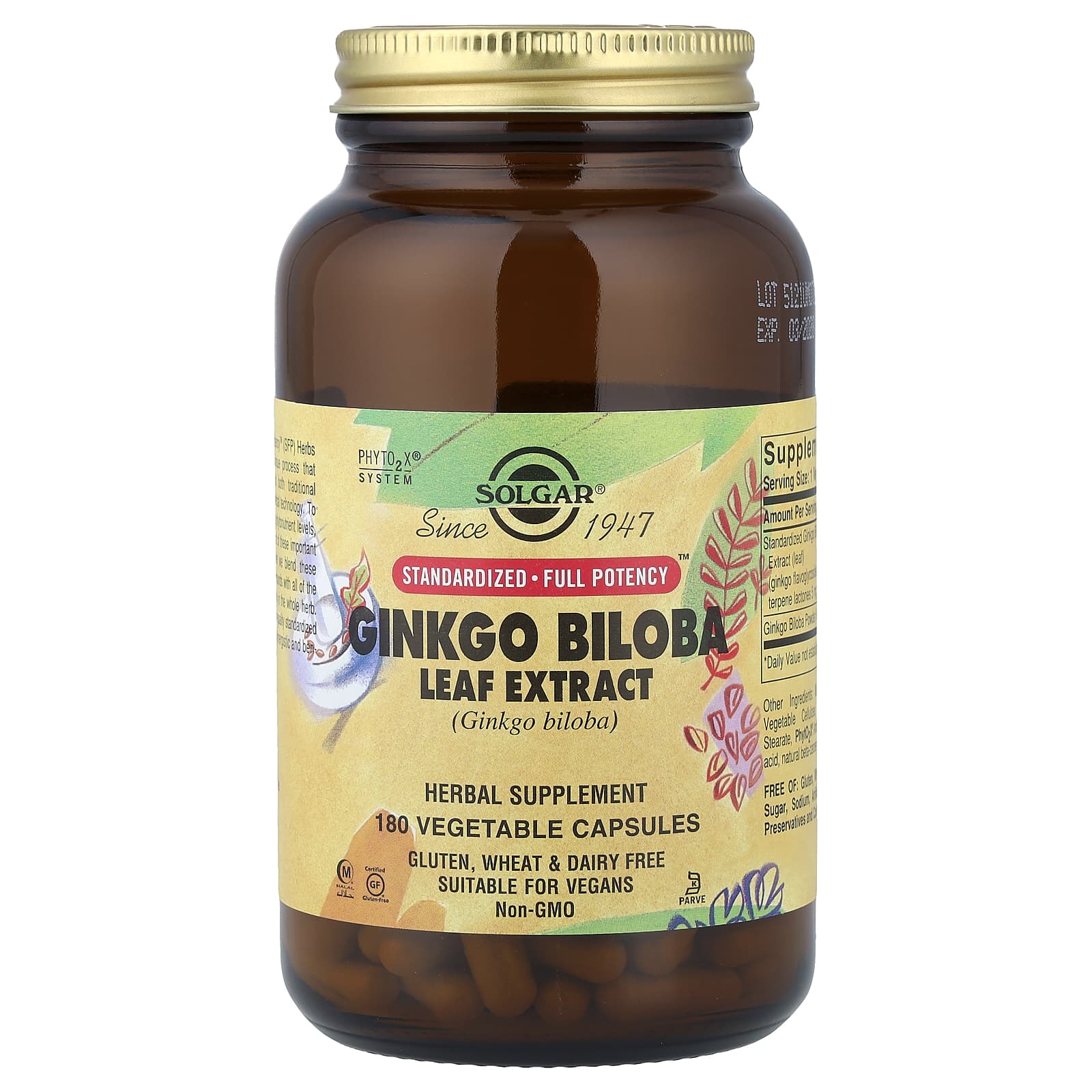 Solgar Ginkgo Biloba Leaf Extract, 180 Vegetable Capsules — Tunisie