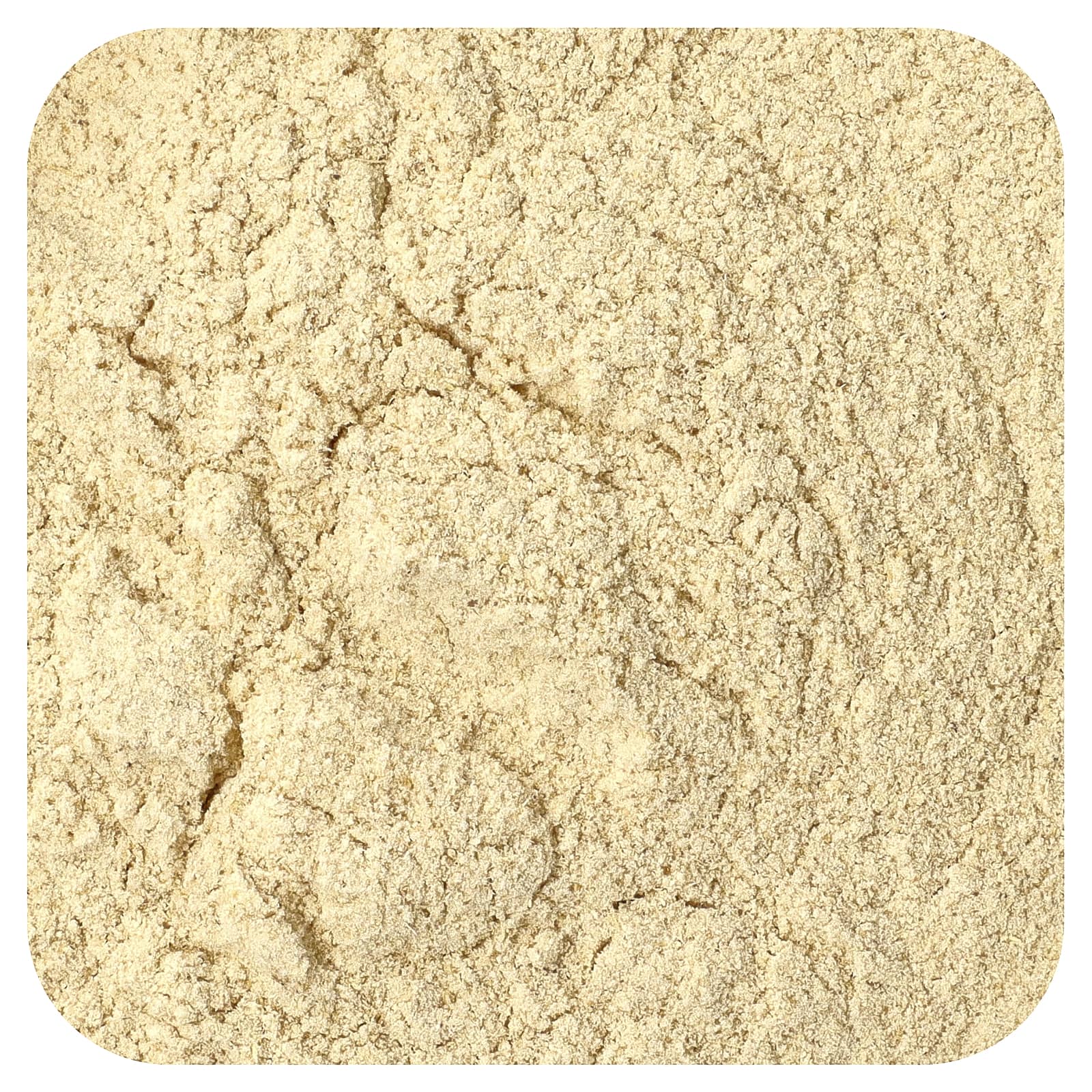 Starwest Botanicals Astragalus Root Powder – 453,6 g — Tunisie