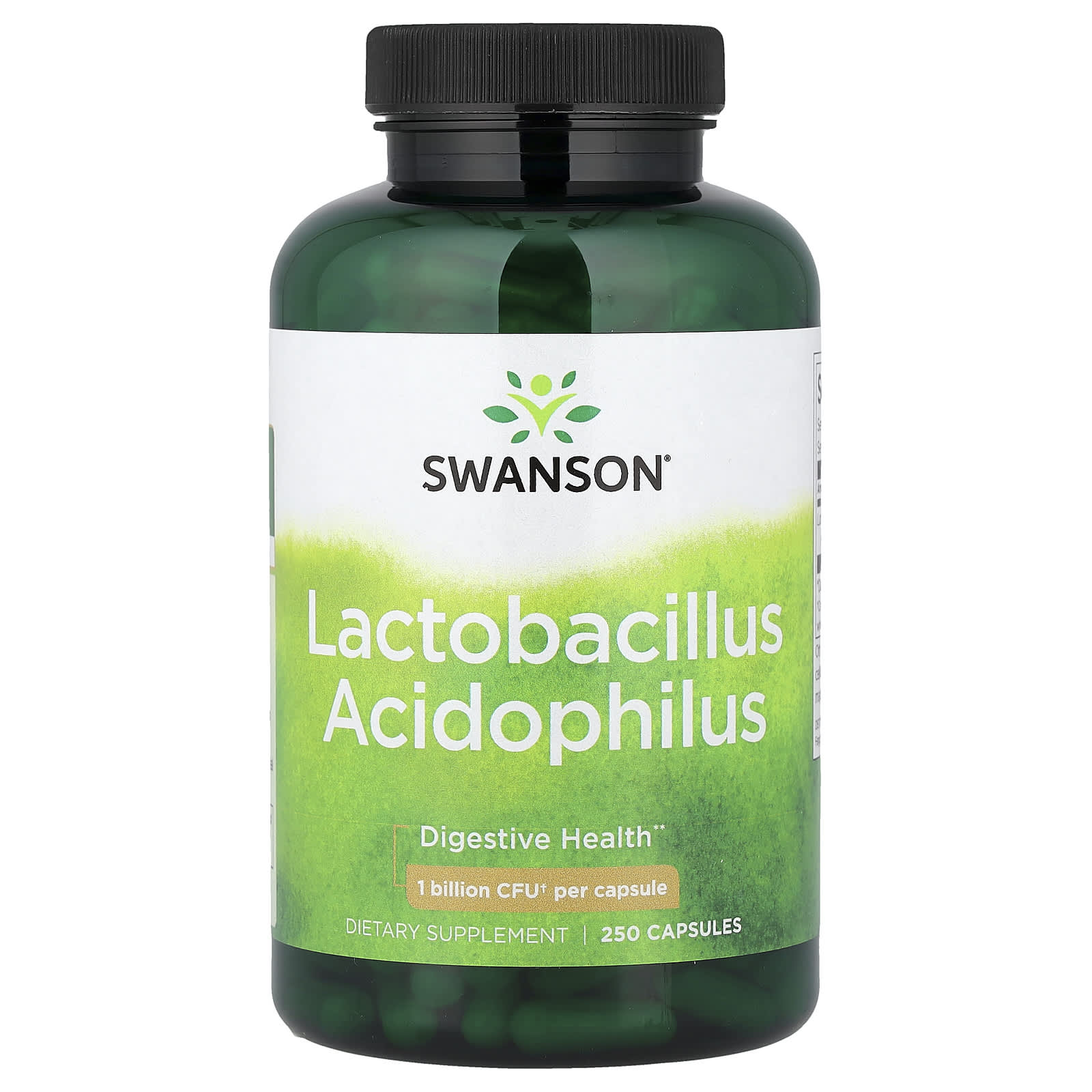 Swanson Vitamins Lactobacillus Acidophilus – 250 gélules — Tunisie