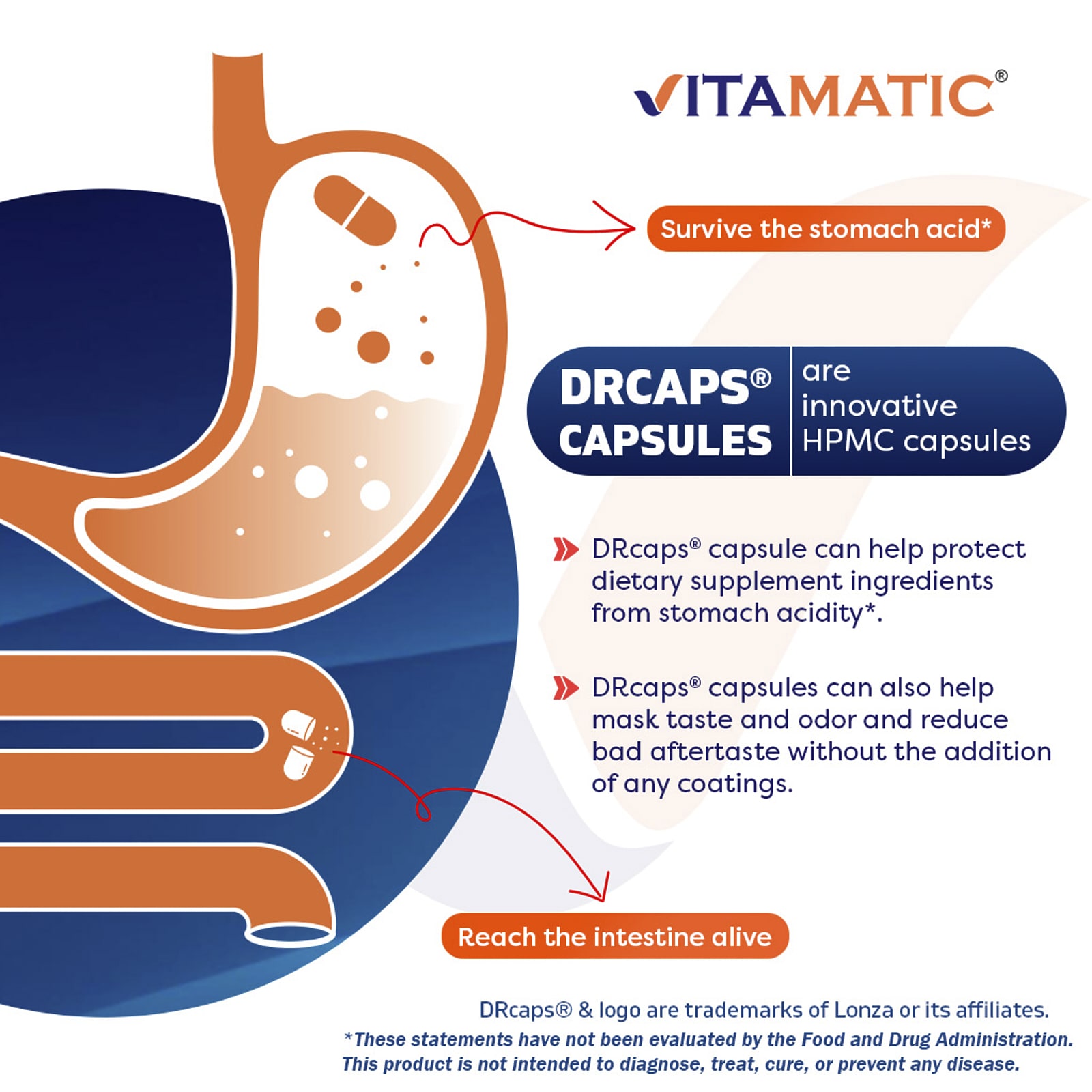 Vitamatic Bifidobacterium Breve, 60 DrCaps Hypromellose Capsules — étiquette 5