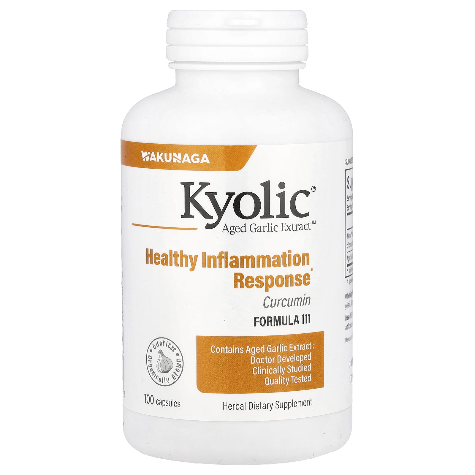 Kyolic Aged Garlic Extract, Curcumin – 100 gélules — Tunisie