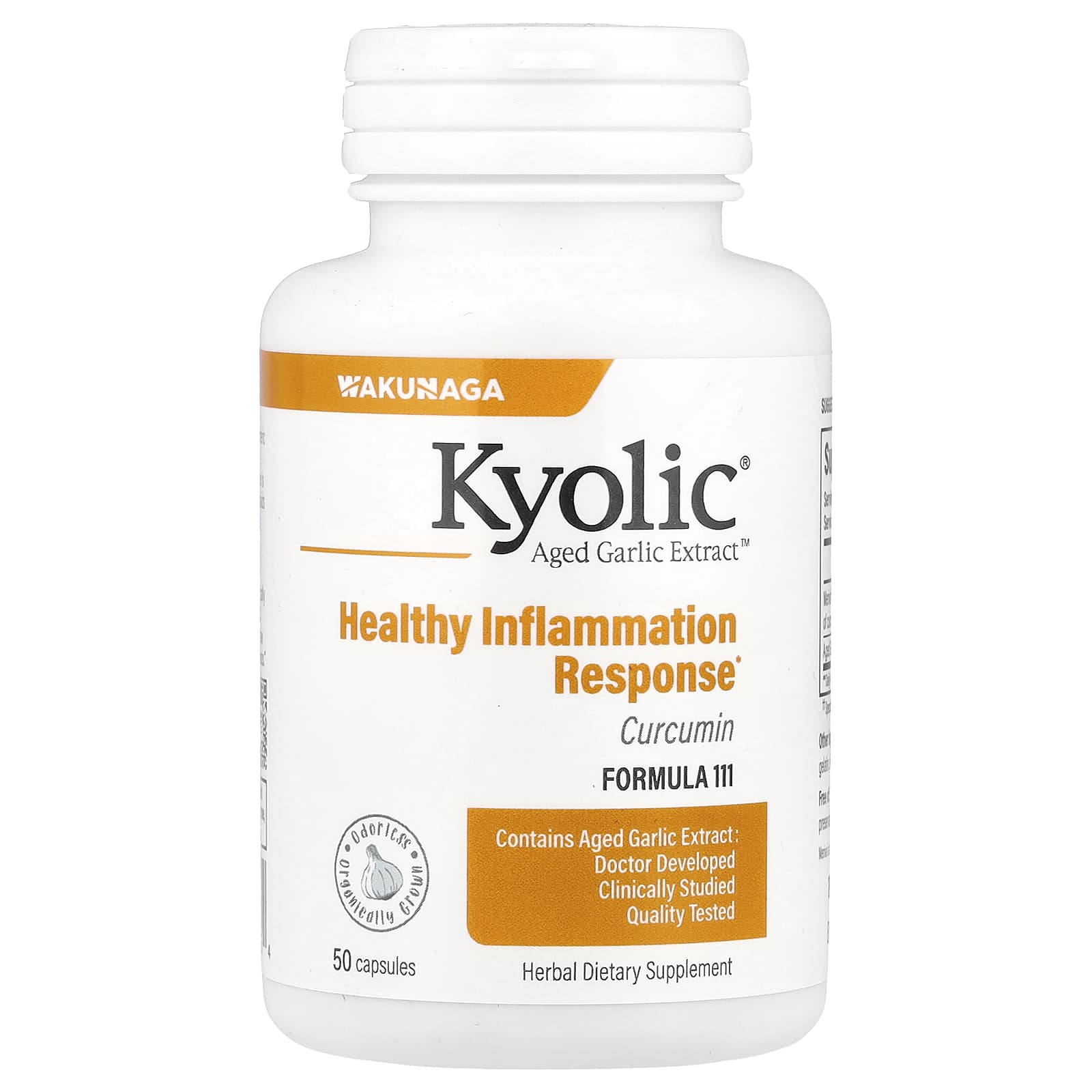 Kyolic Aged Garlic Extract, Curcumin – 50 gélules — Tunisie